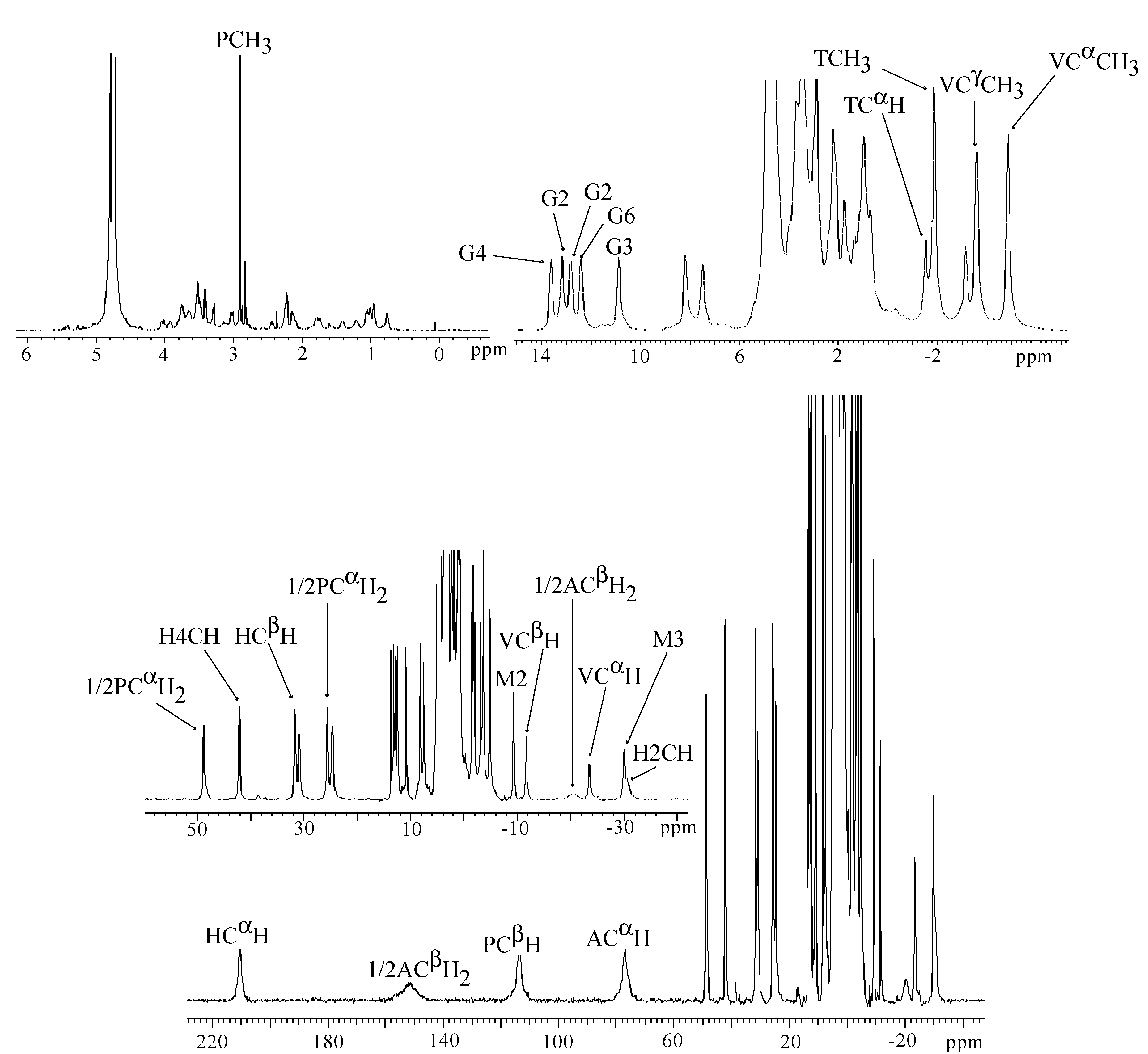 Molecules 18 09253 g008