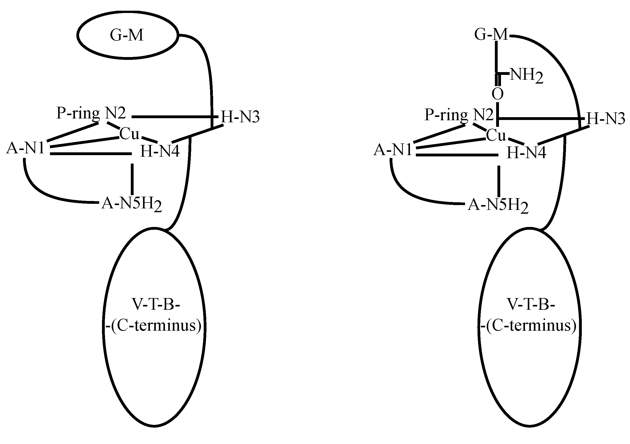 Molecules 18 09253 g010