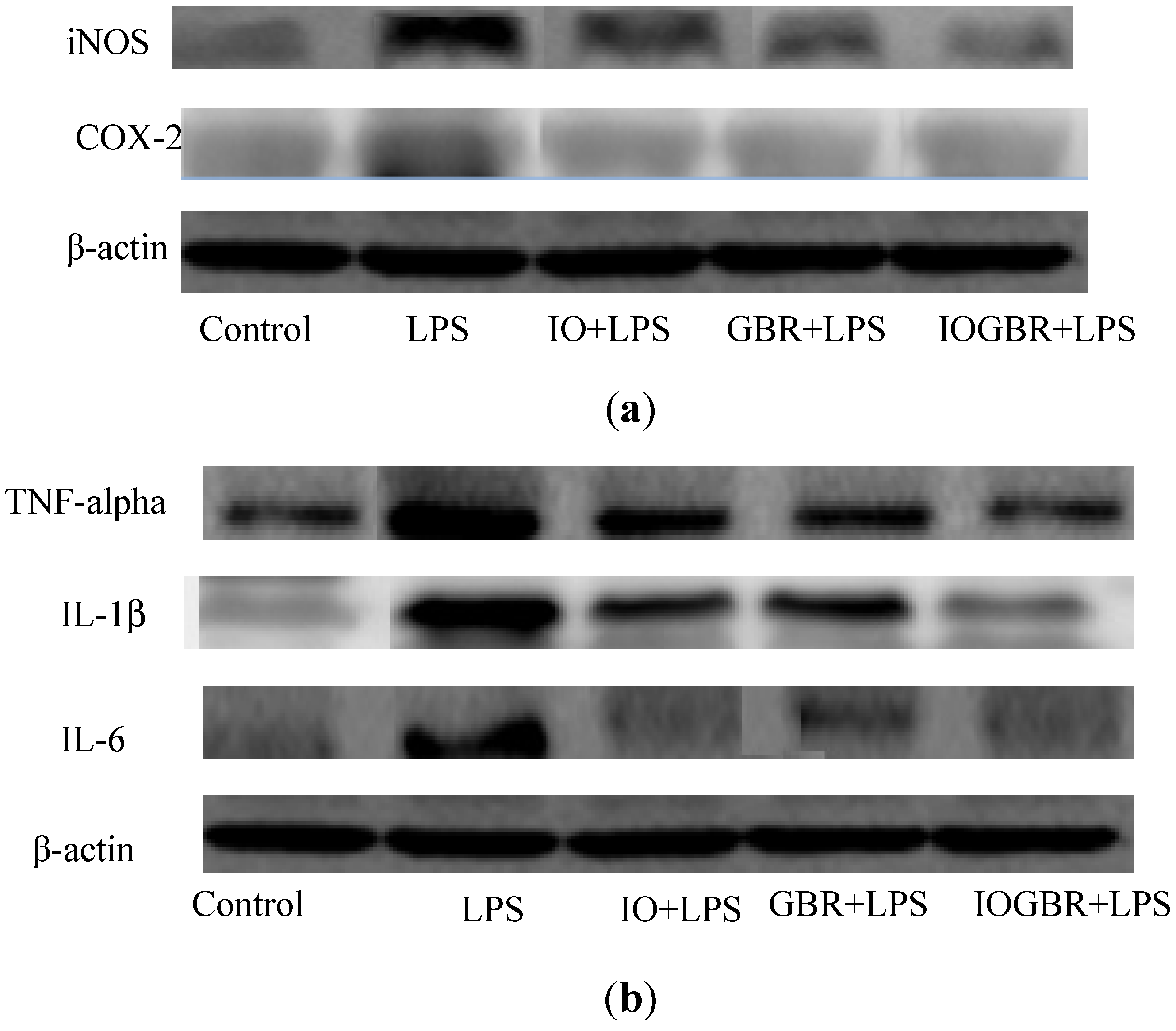 Molecules 18 09293 g004 550