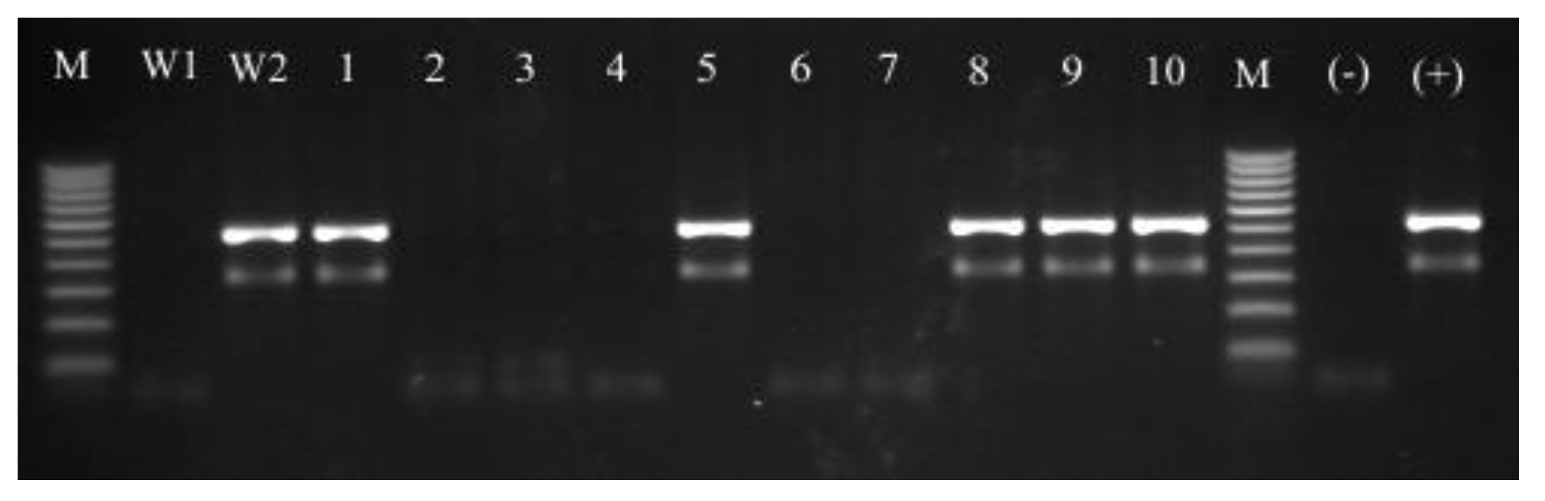 Molecules 18 09623 g002