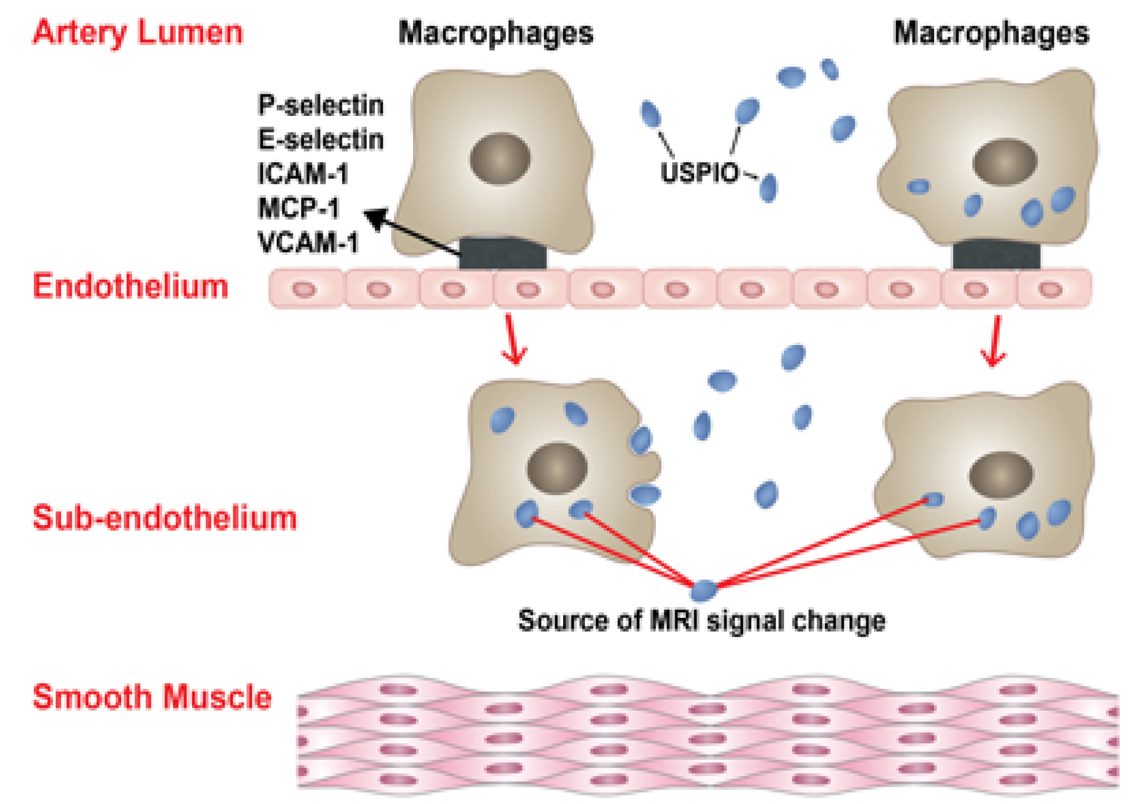 Molecules 18 09670 g001