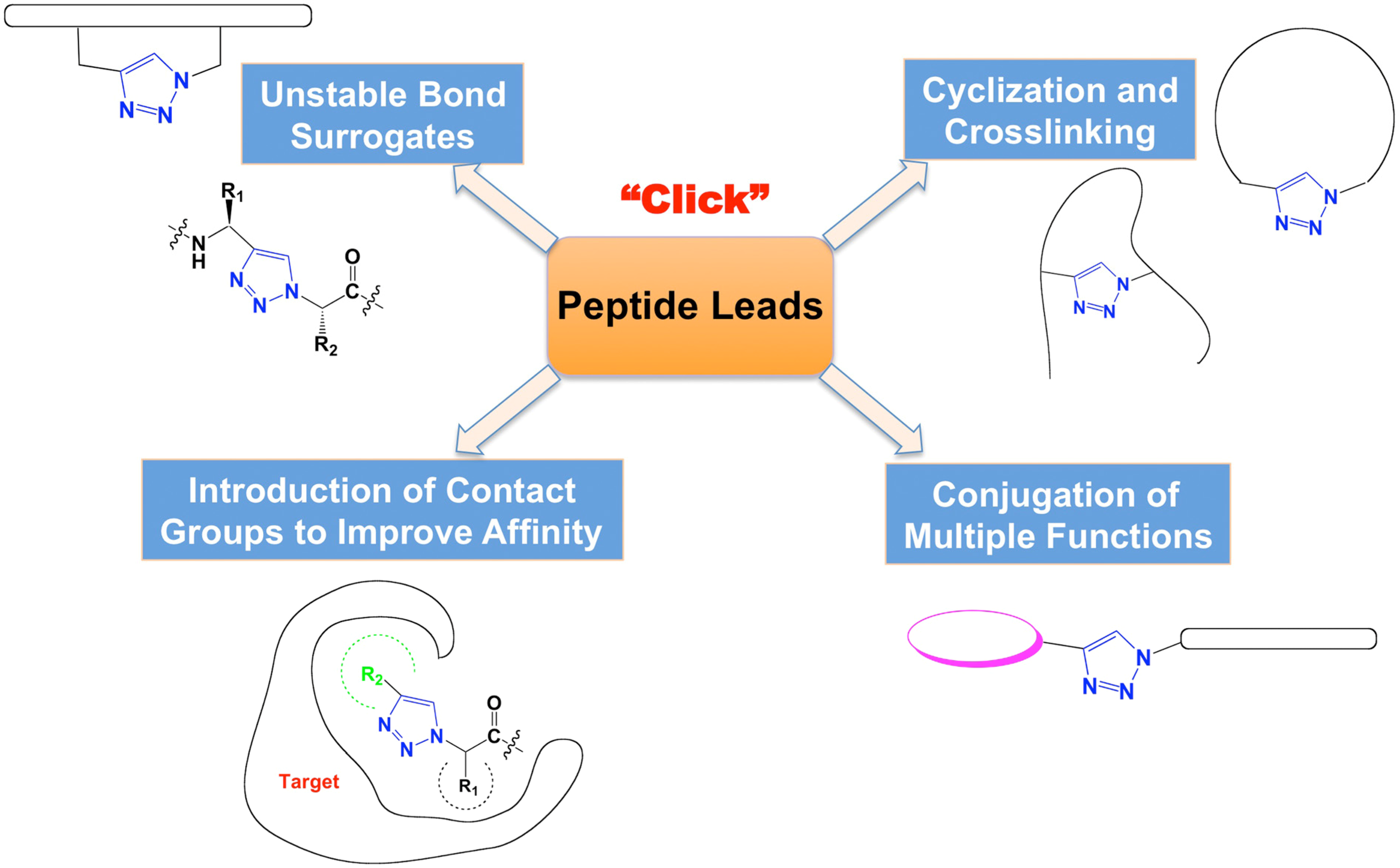 Chemistry And Application Of Click Chemistry