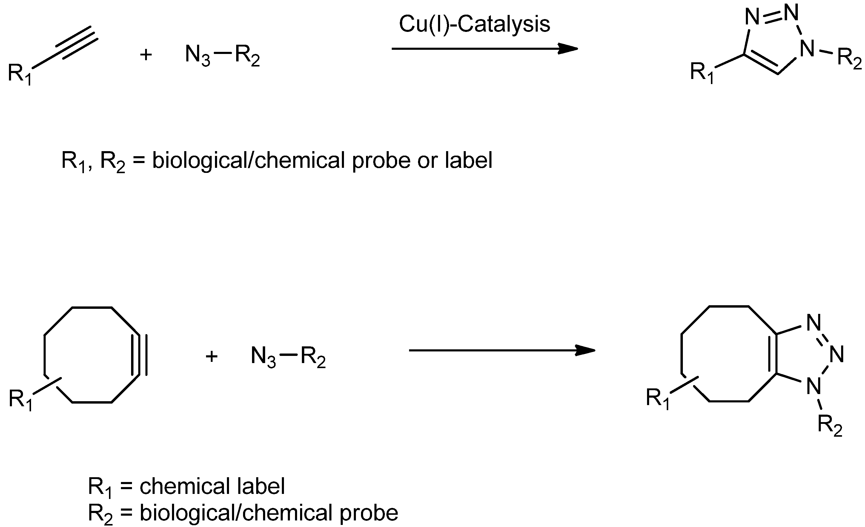Molecules 18 09833 g008