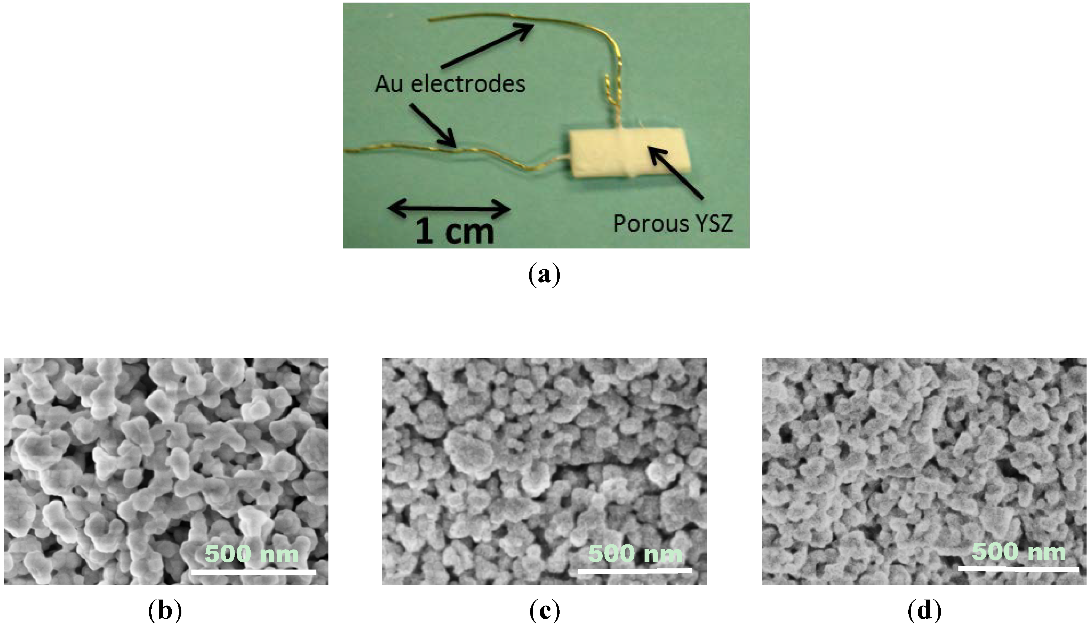 Molecules 18 09901 g001