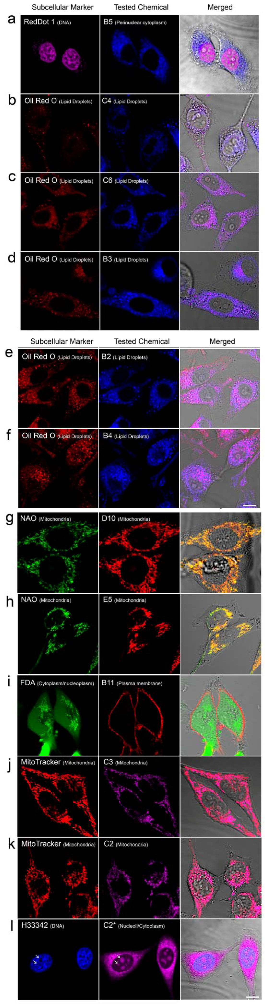 Molecules 18 09999 g003 550