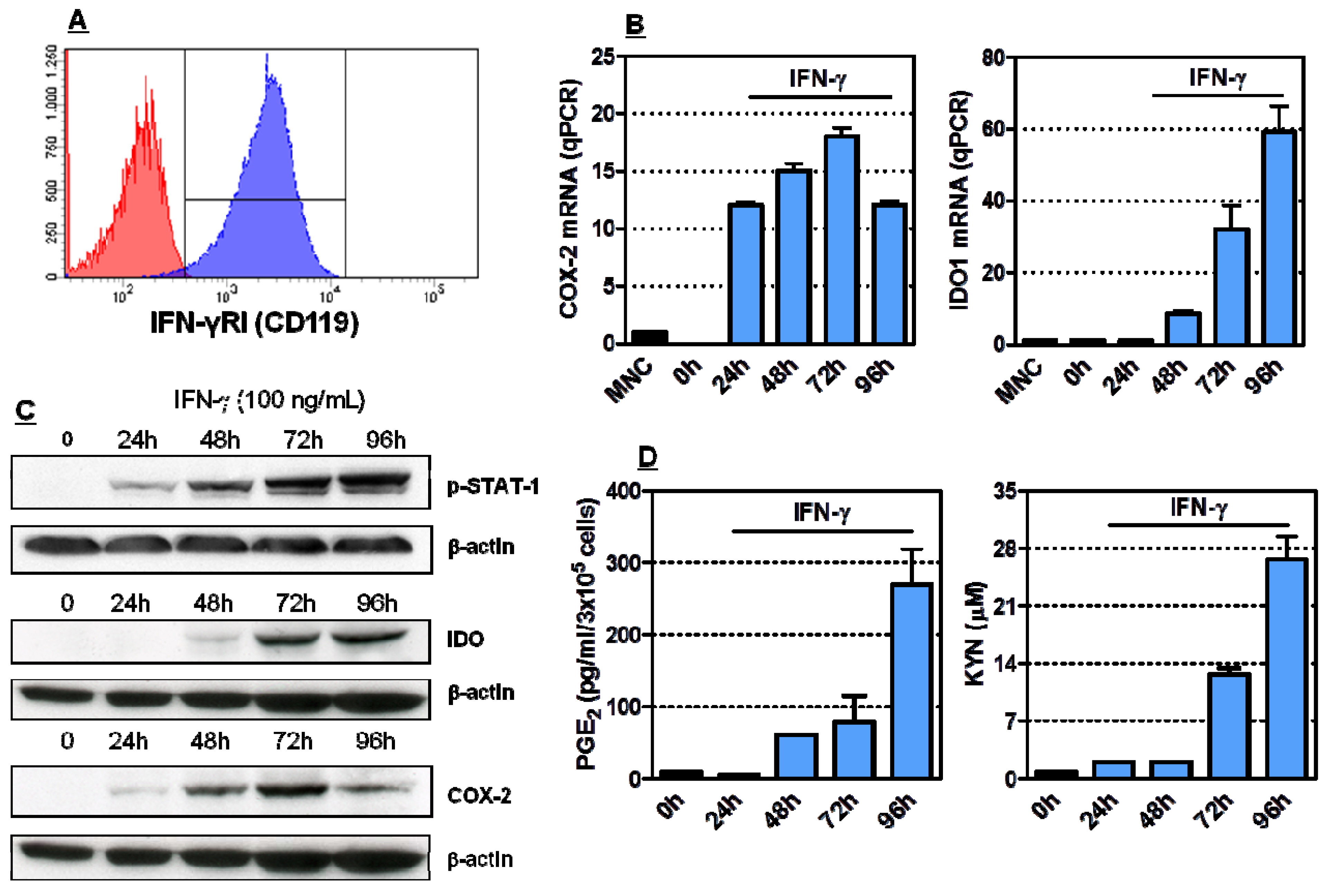 Molecules 18 10132 g001
