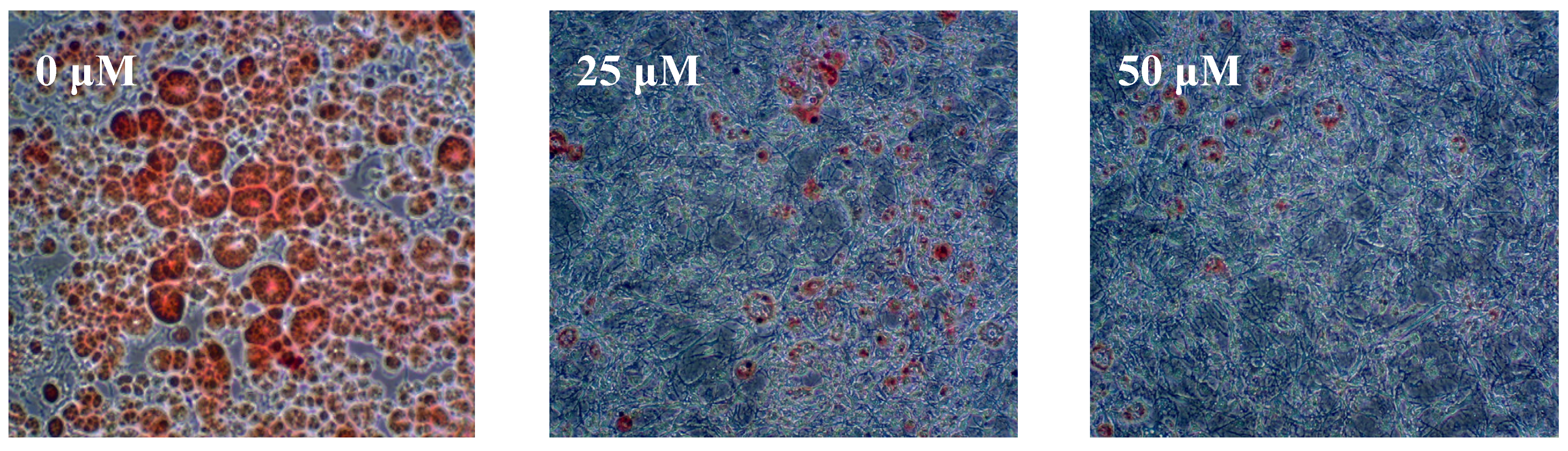 Molecules 18 10484 g003