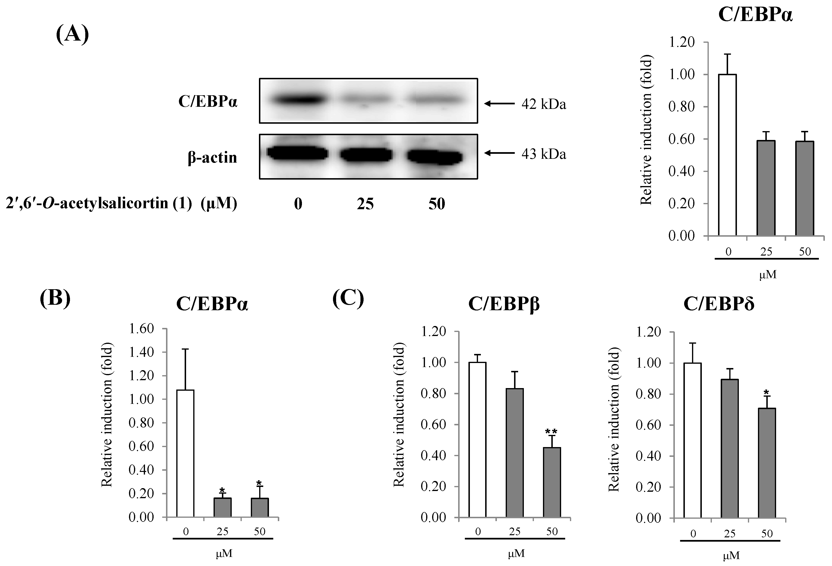 Molecules 18 10484 g005