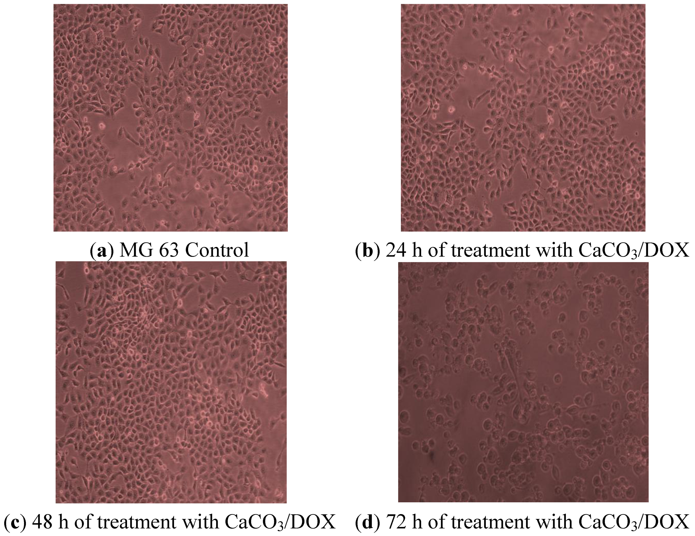 Molecules 18 10580 g009 550