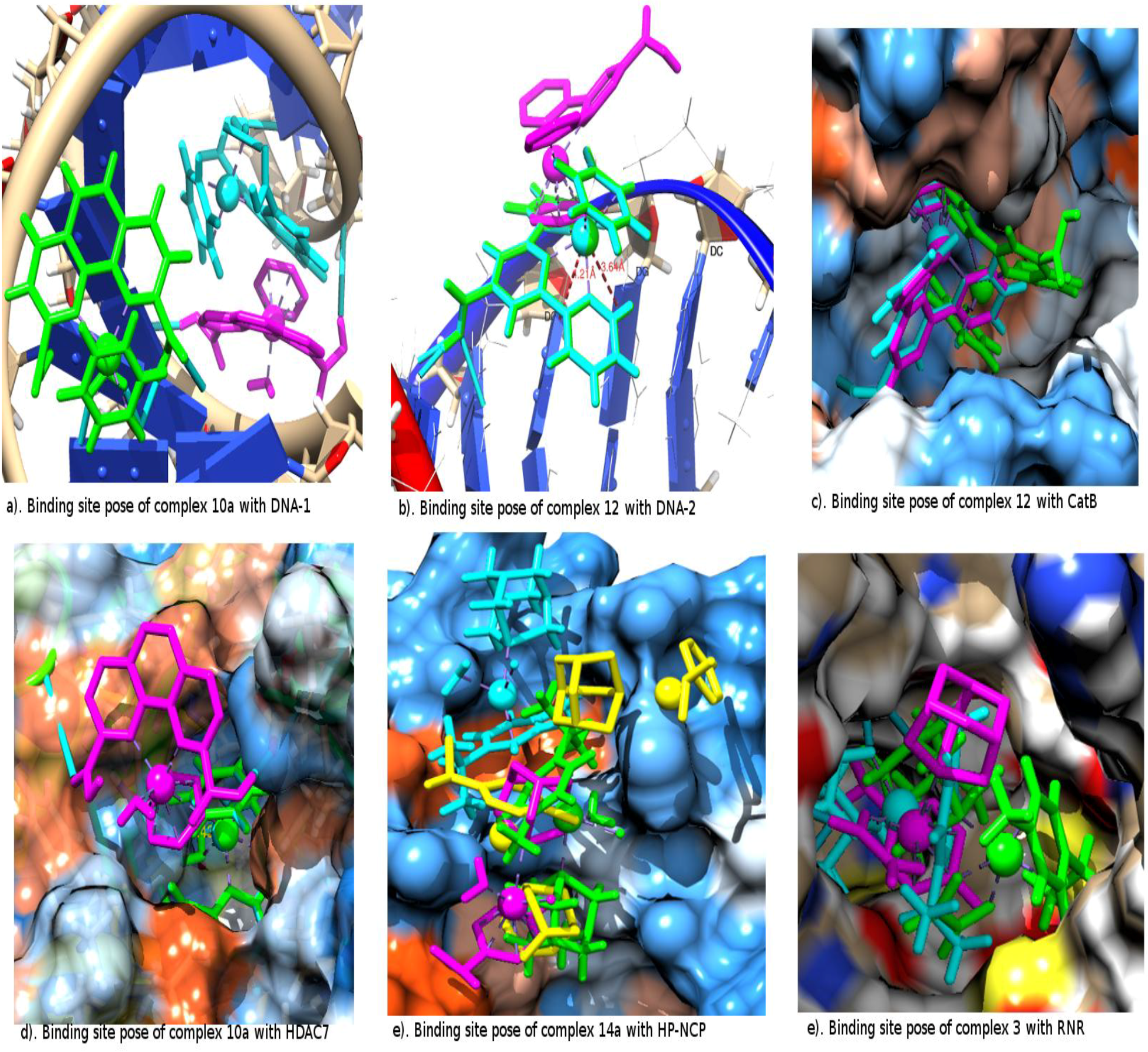 Molecules 18 10829 g002