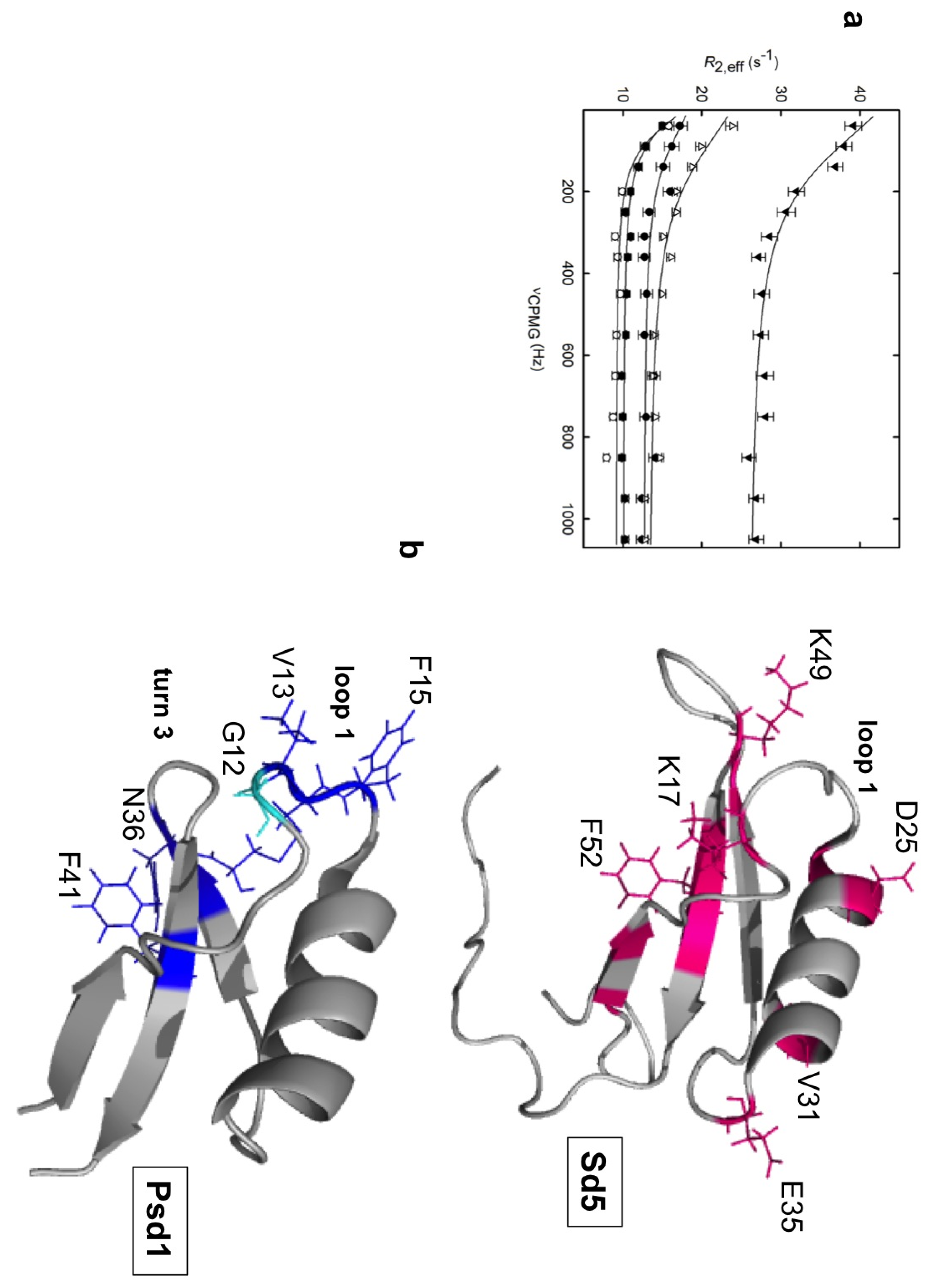 Molecules 18 11311 g005