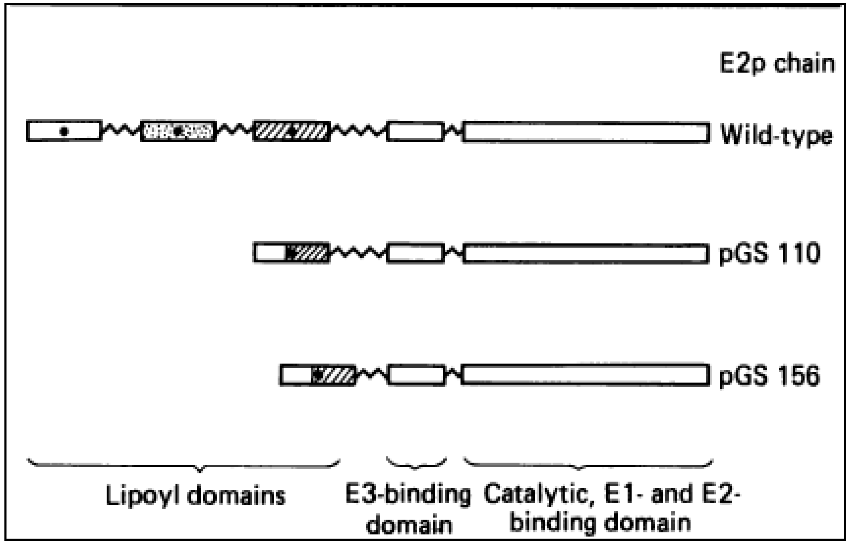Molecules 18 11873 g006
