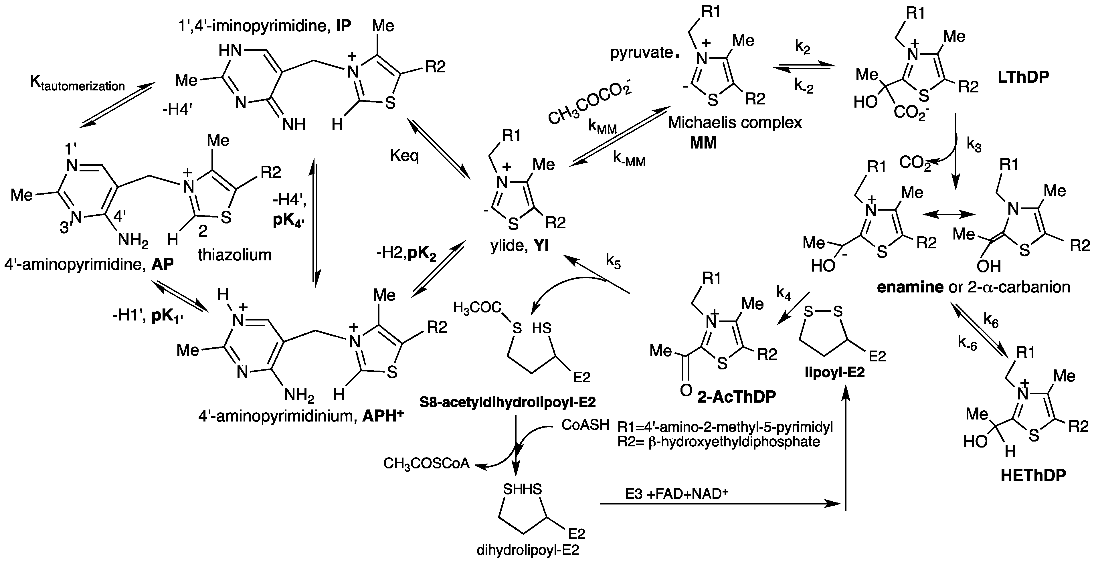 Molecules 18 11873 g013