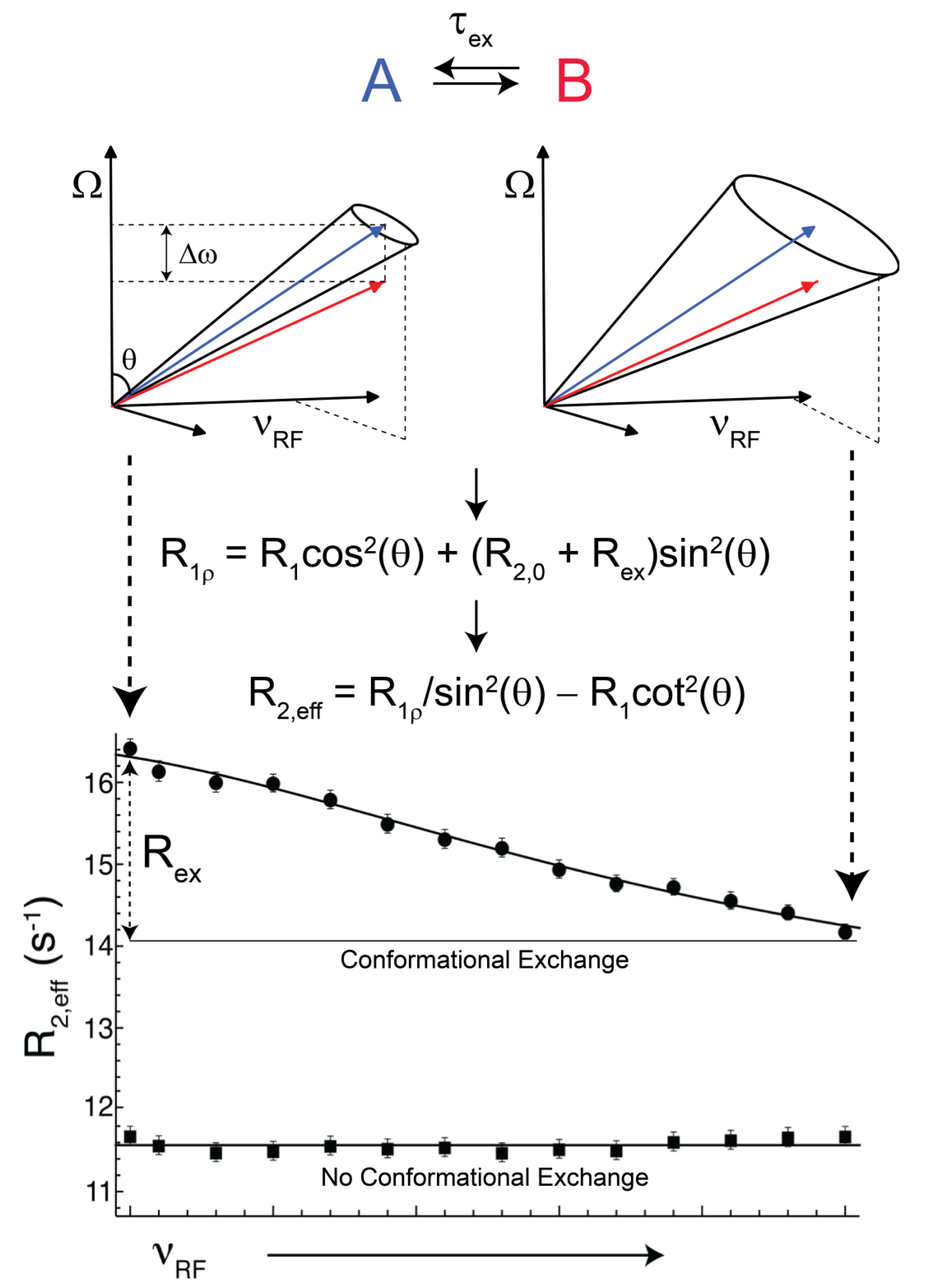 Molecules 18 11904 g002