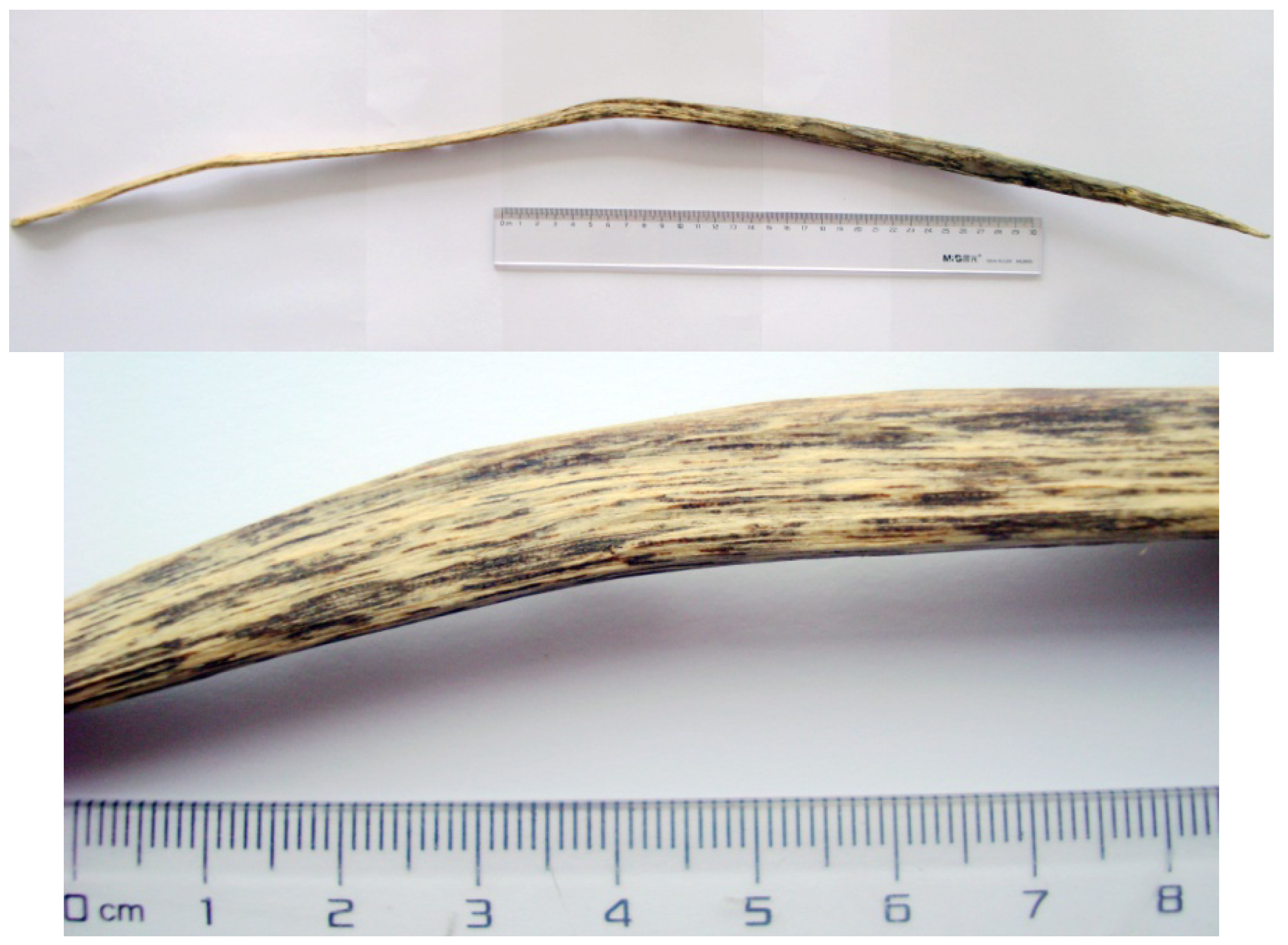 Molecules 18 12324 g005 550