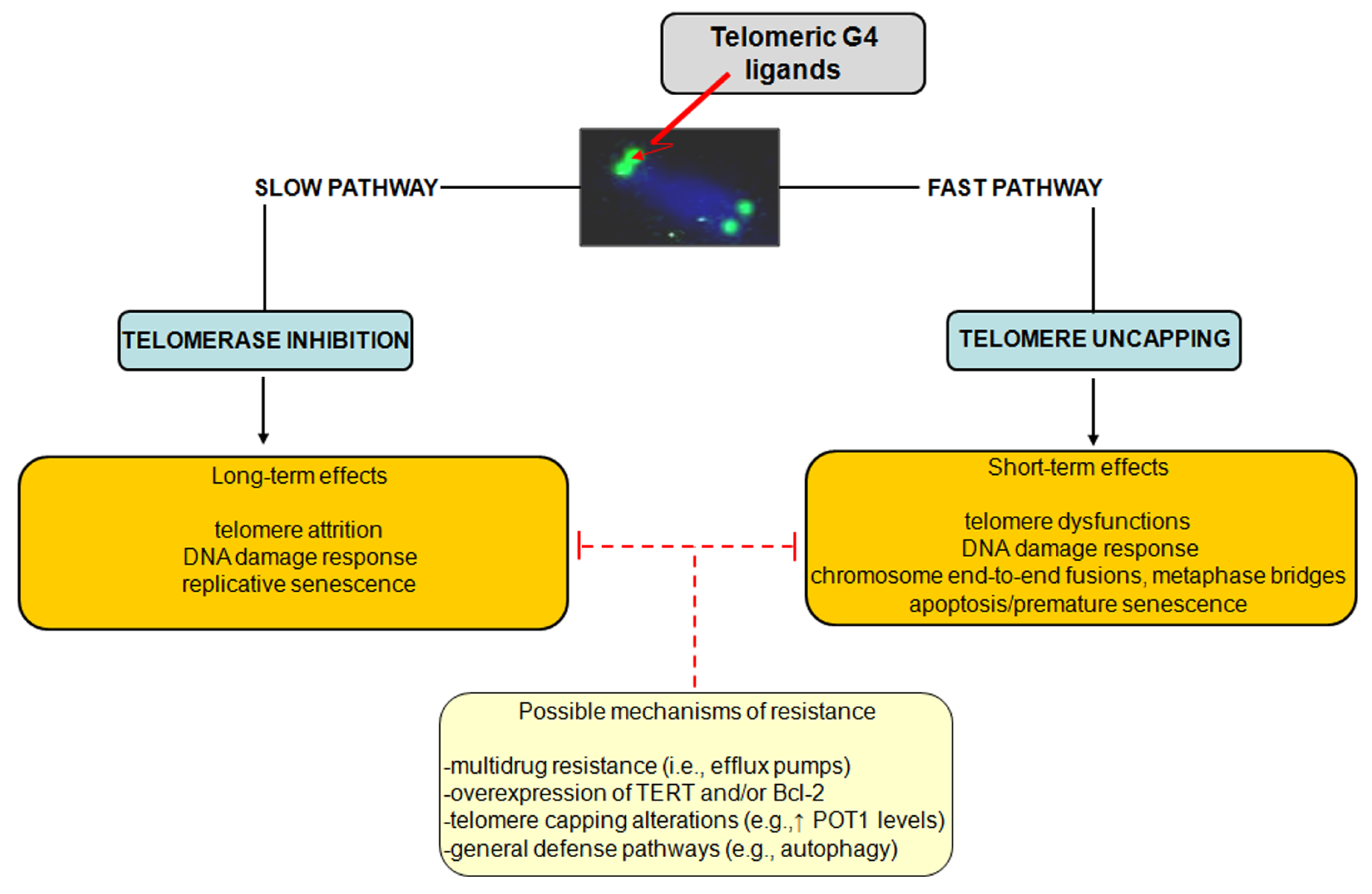 Molecules 18 12368 g003 550