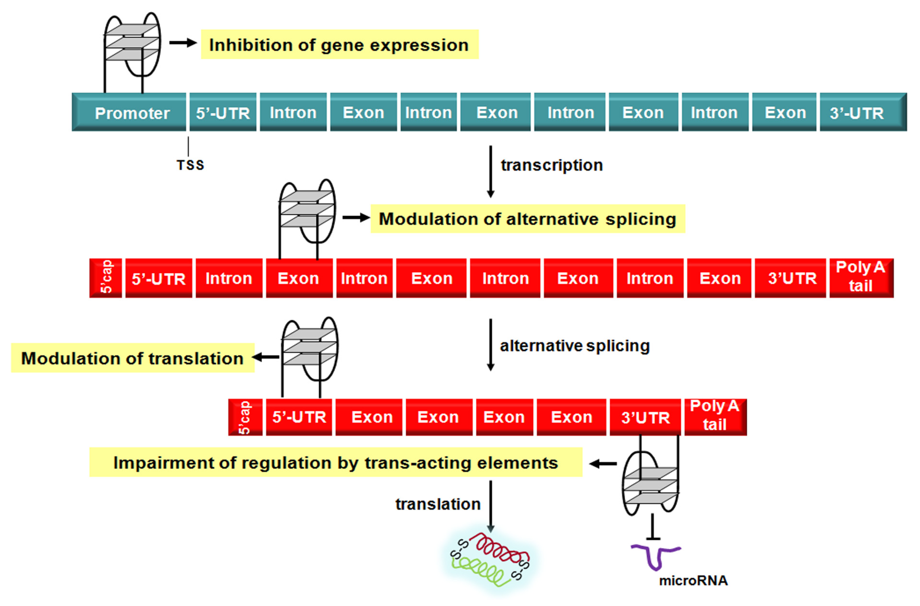 Molecules 18 12368 g004 550