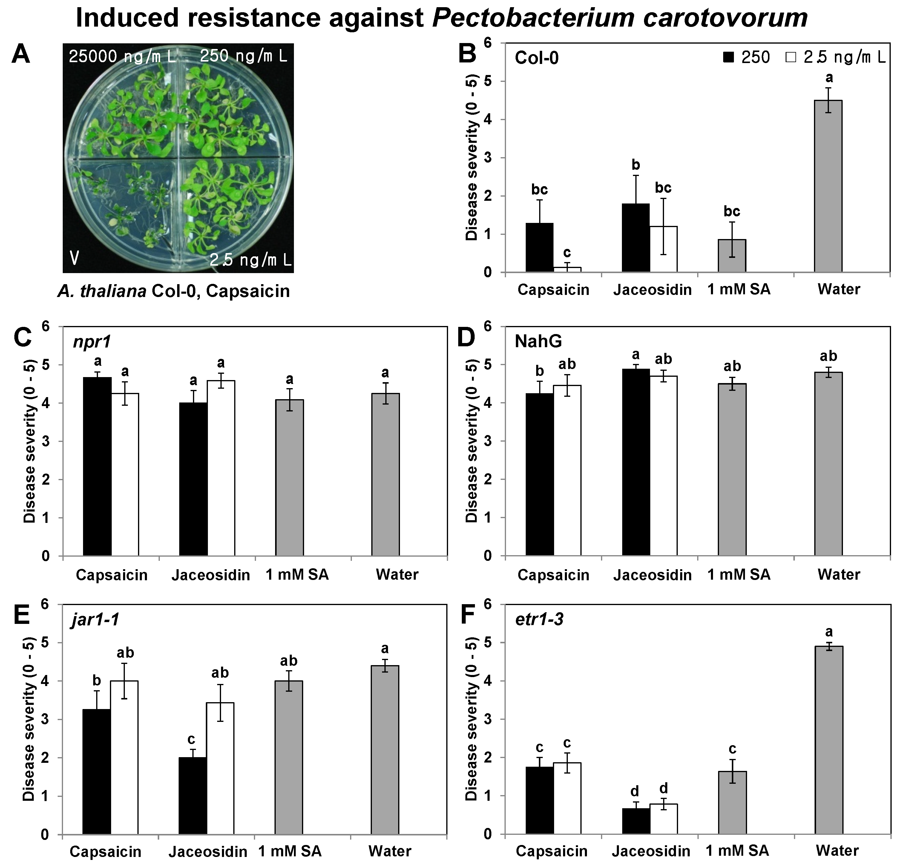 Molecules 18 12877 g003 550