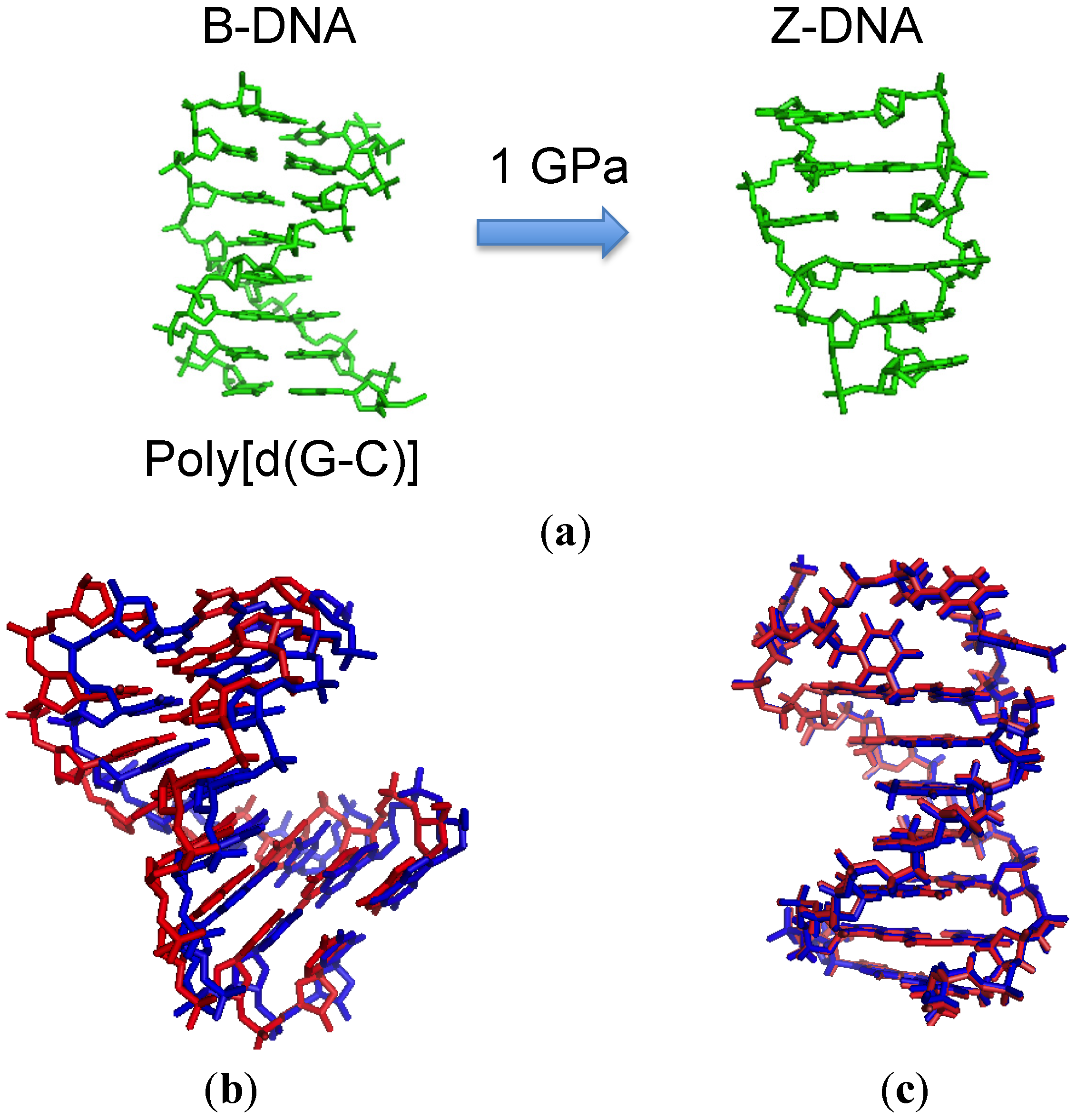 Molecules 18 13297 g002