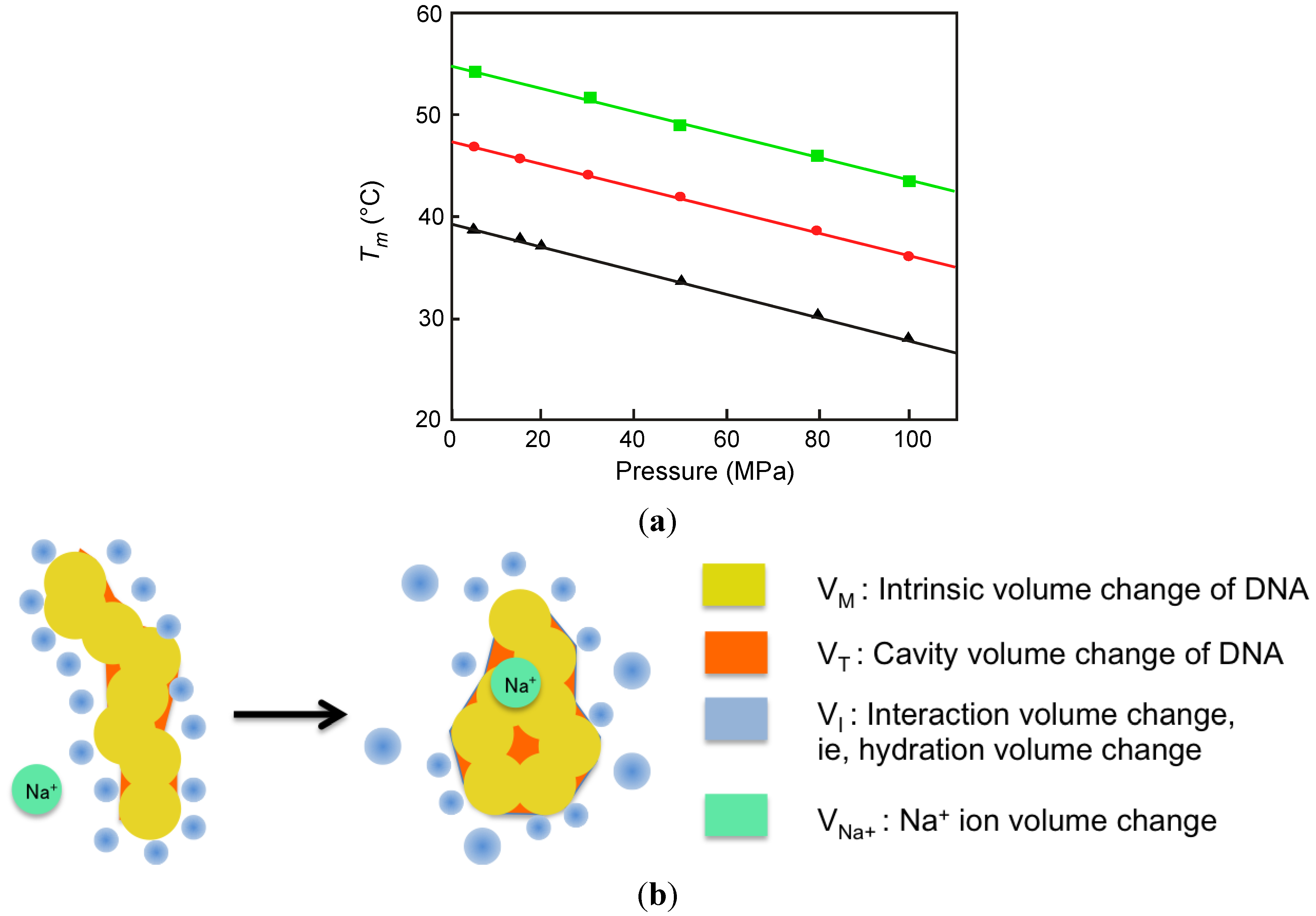 Molecules 18 13297 g005