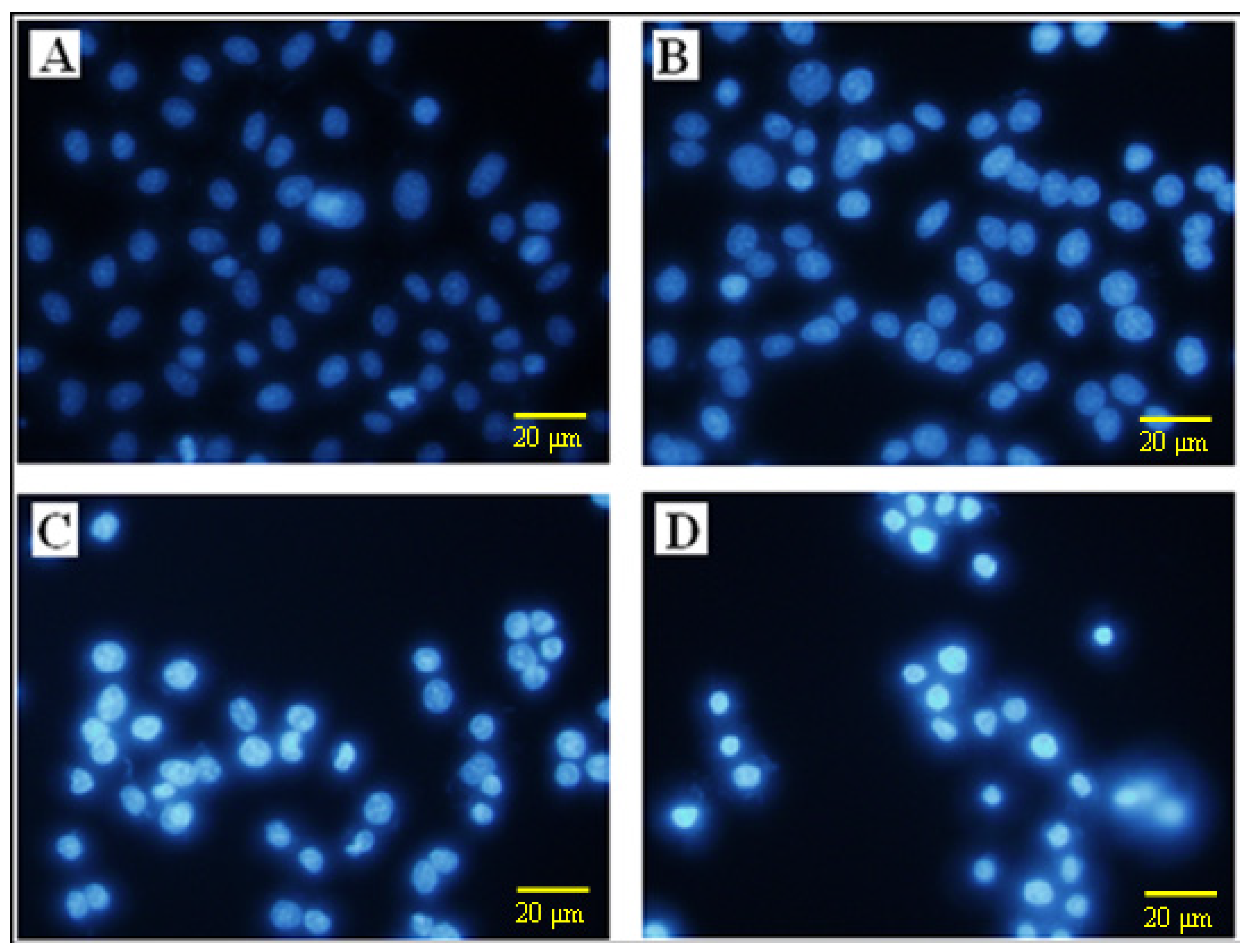 Molecules 18 13357 g002