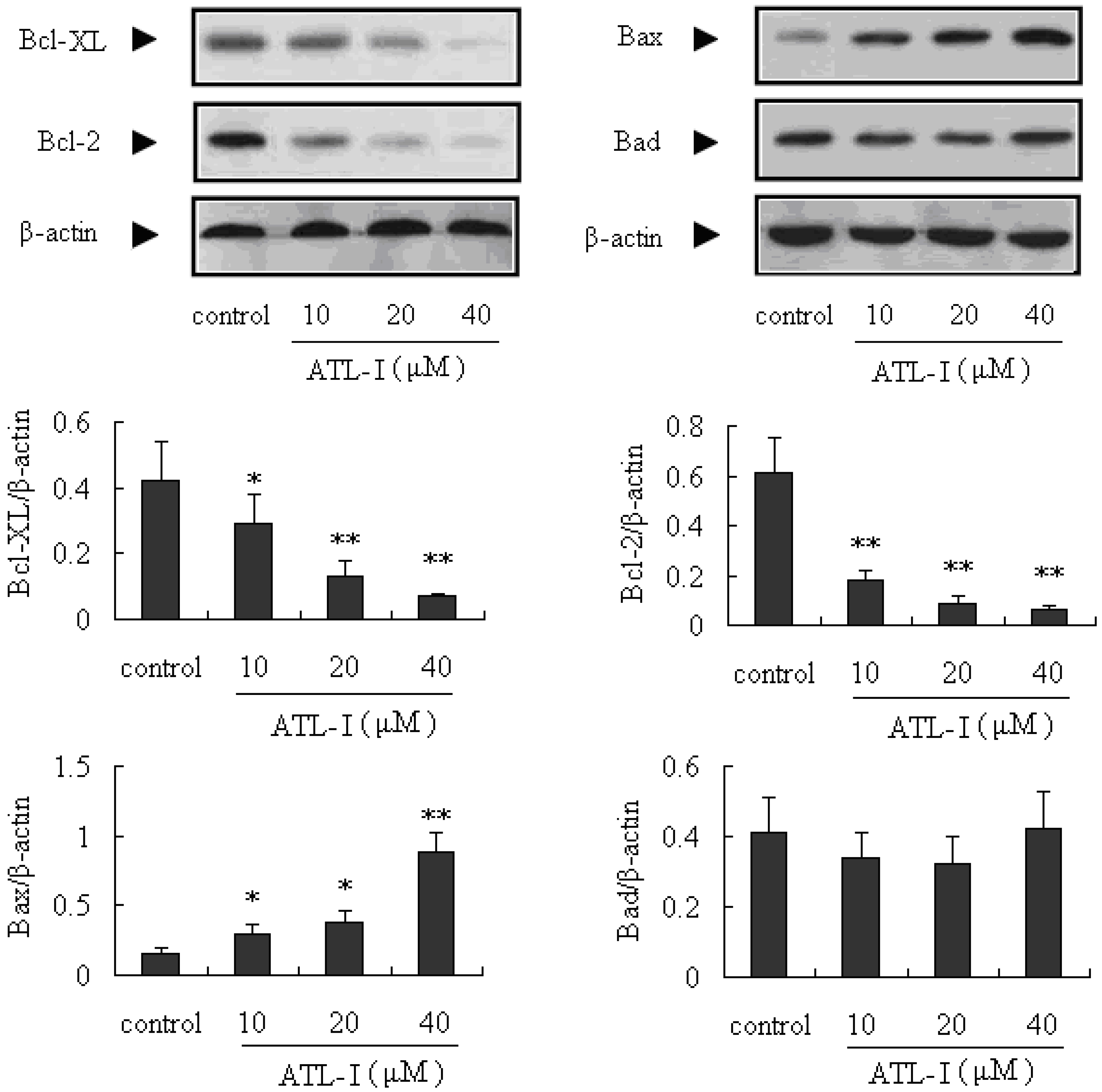 Molecules 18 13357 g005