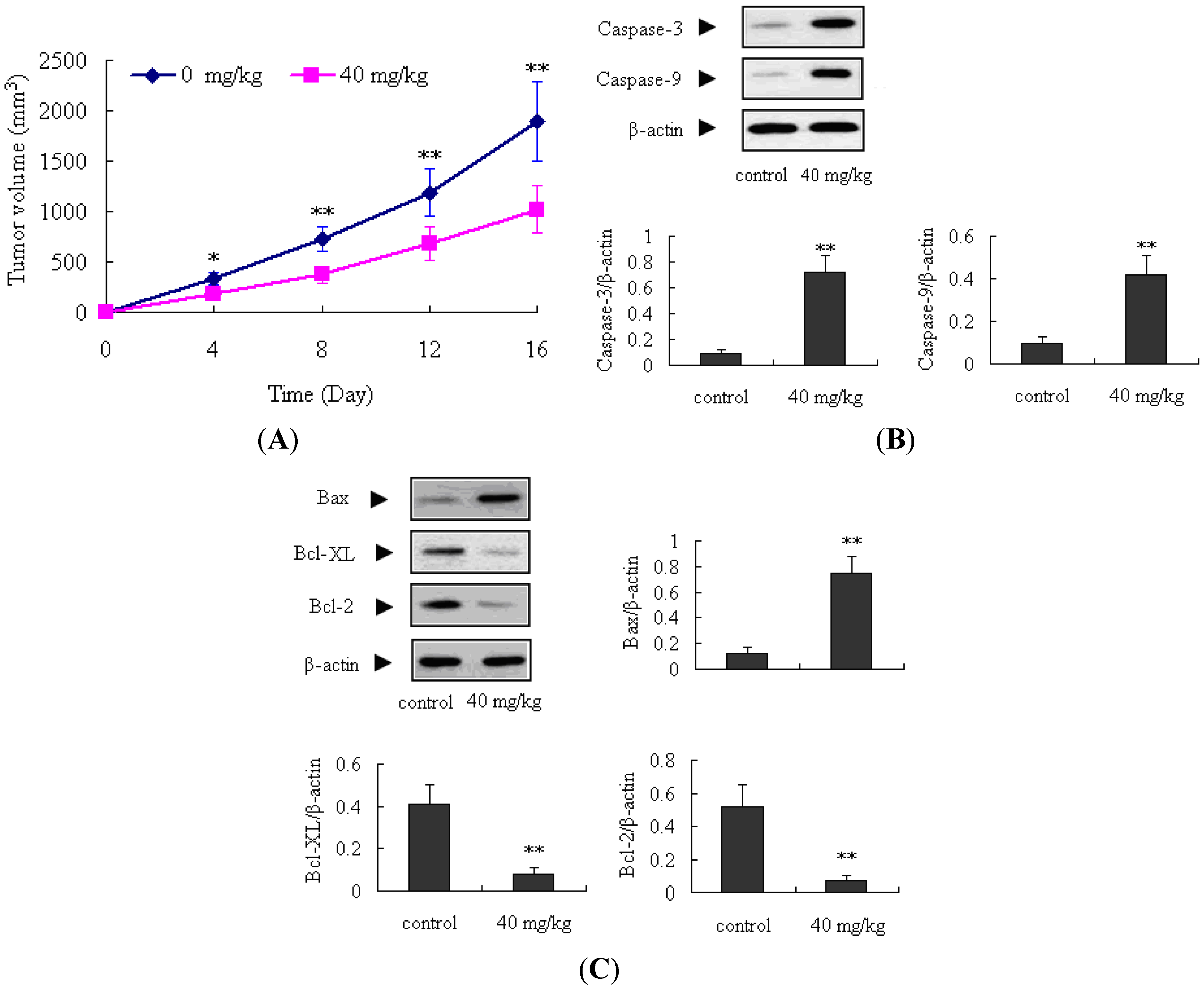 Molecules 18 13357 g008