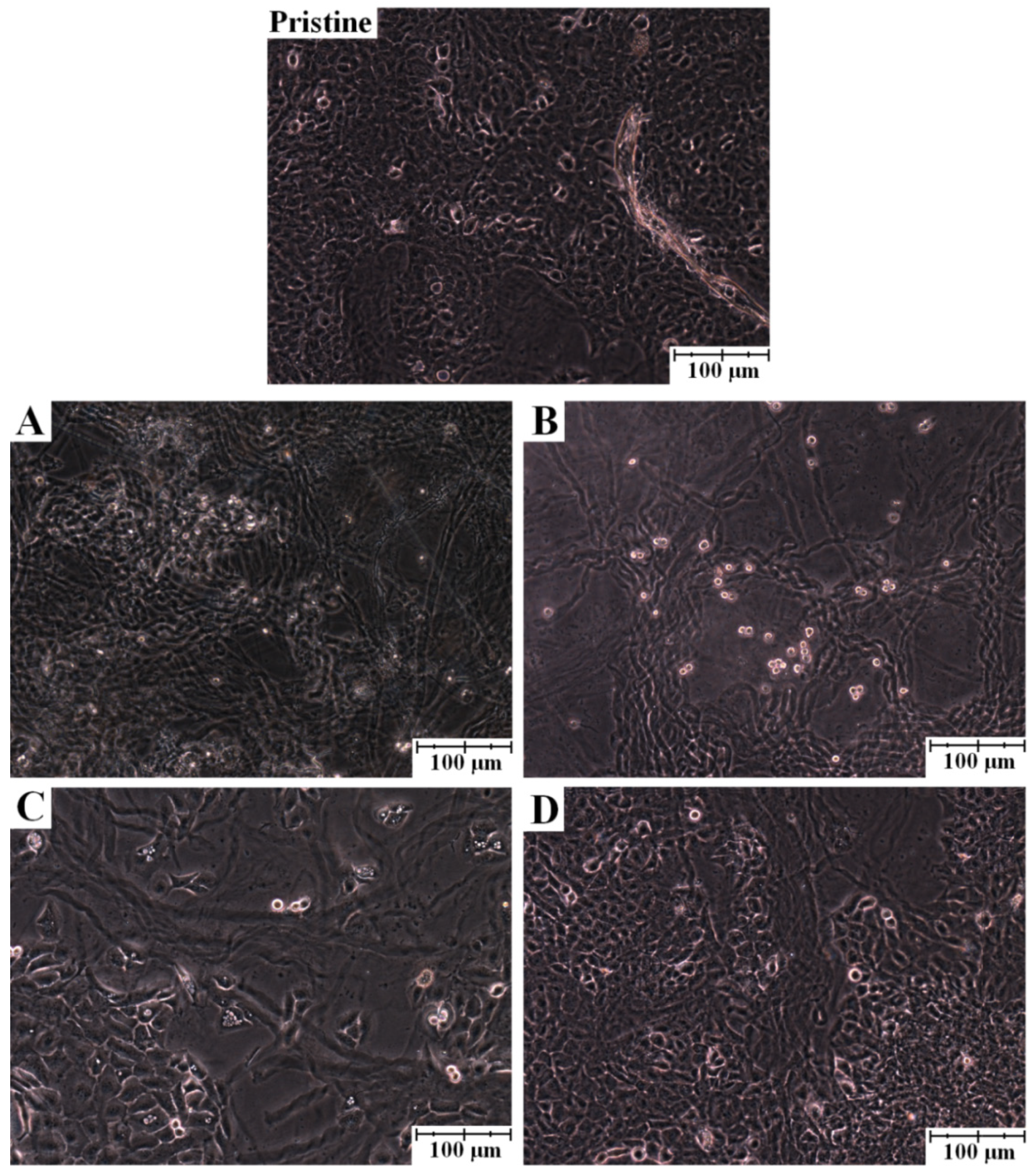 Molecules 18 13435 g002 550