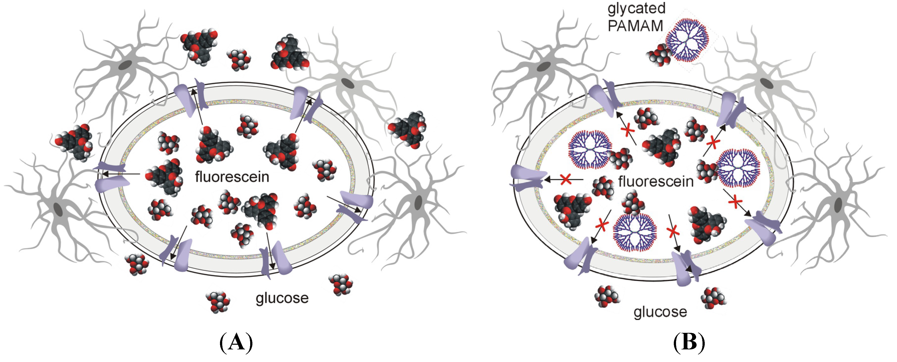 Molecules 18 13769 g014 550