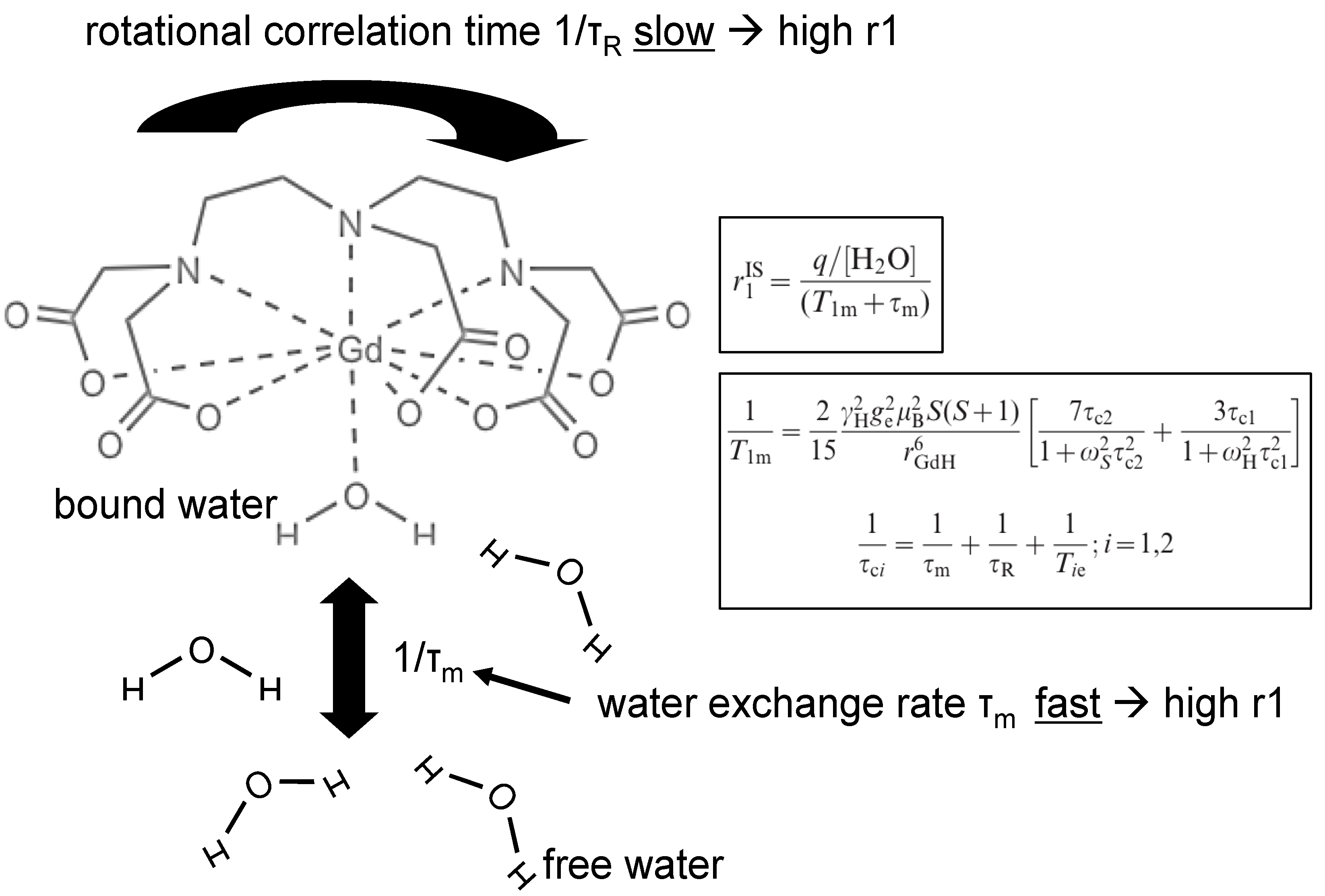 Molecules 18 14042 g004