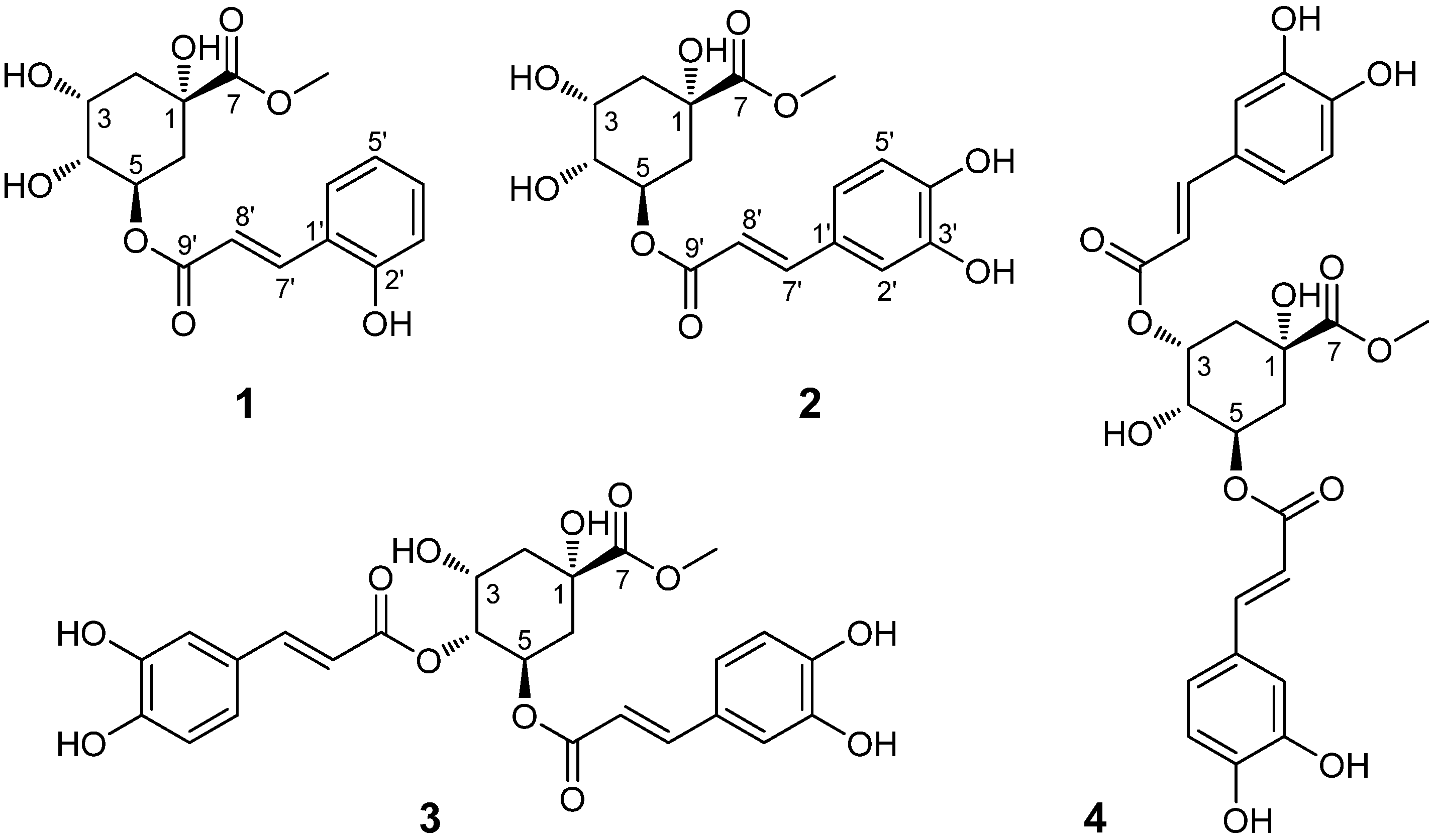 Molecules 18 14096 g001