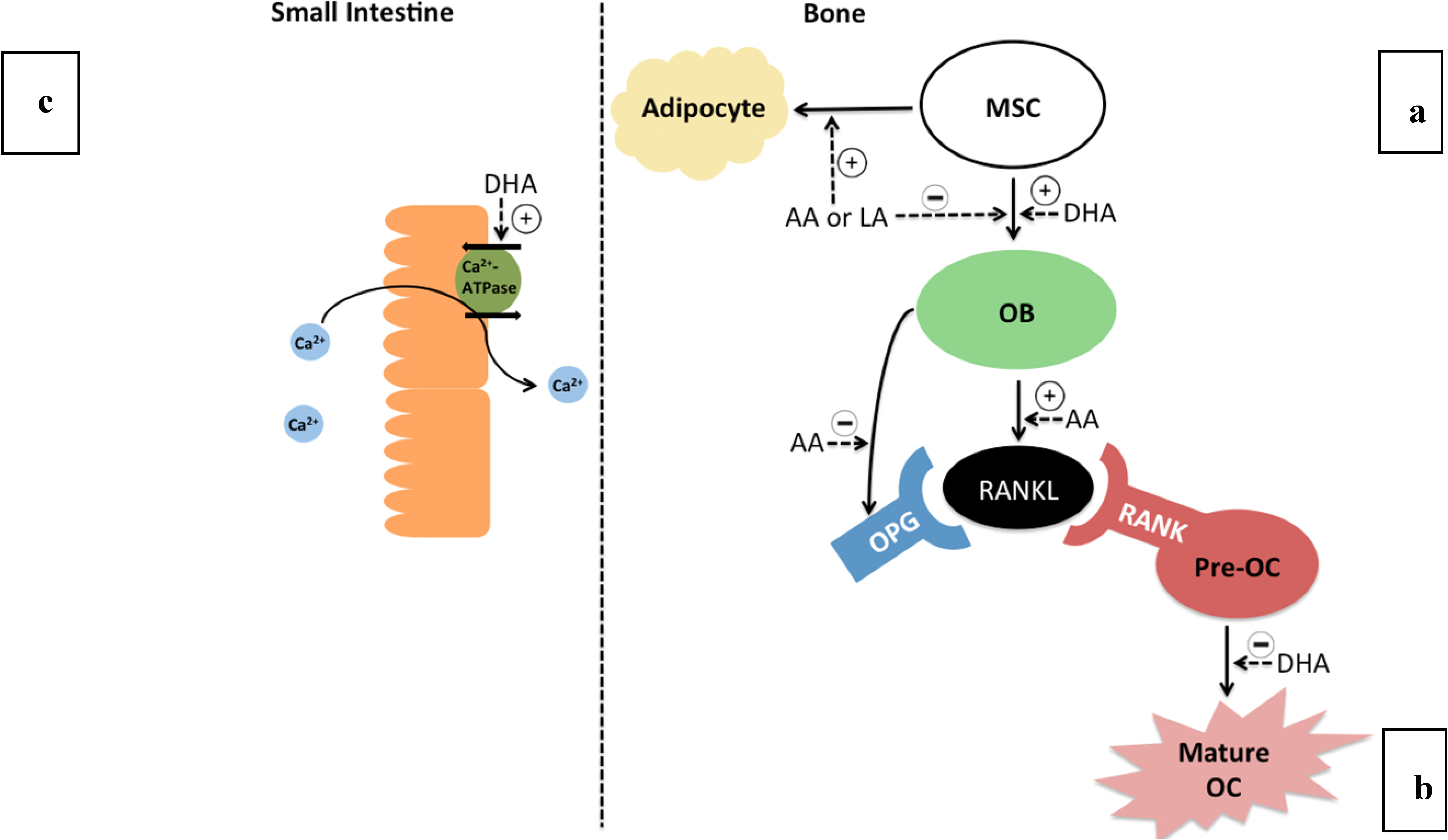 Molecules 18 14203 g002
