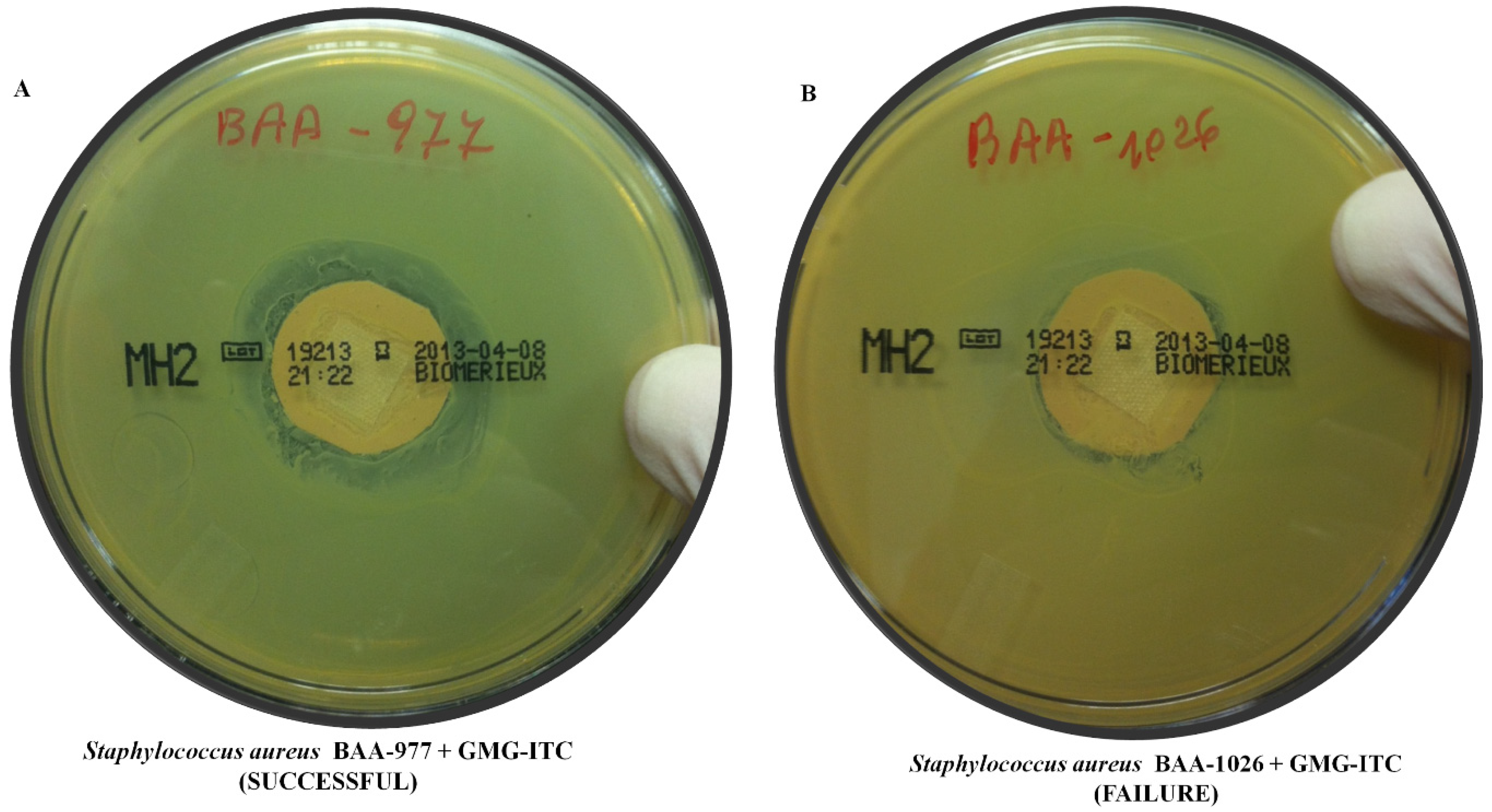 Molecules 18 14340 g001