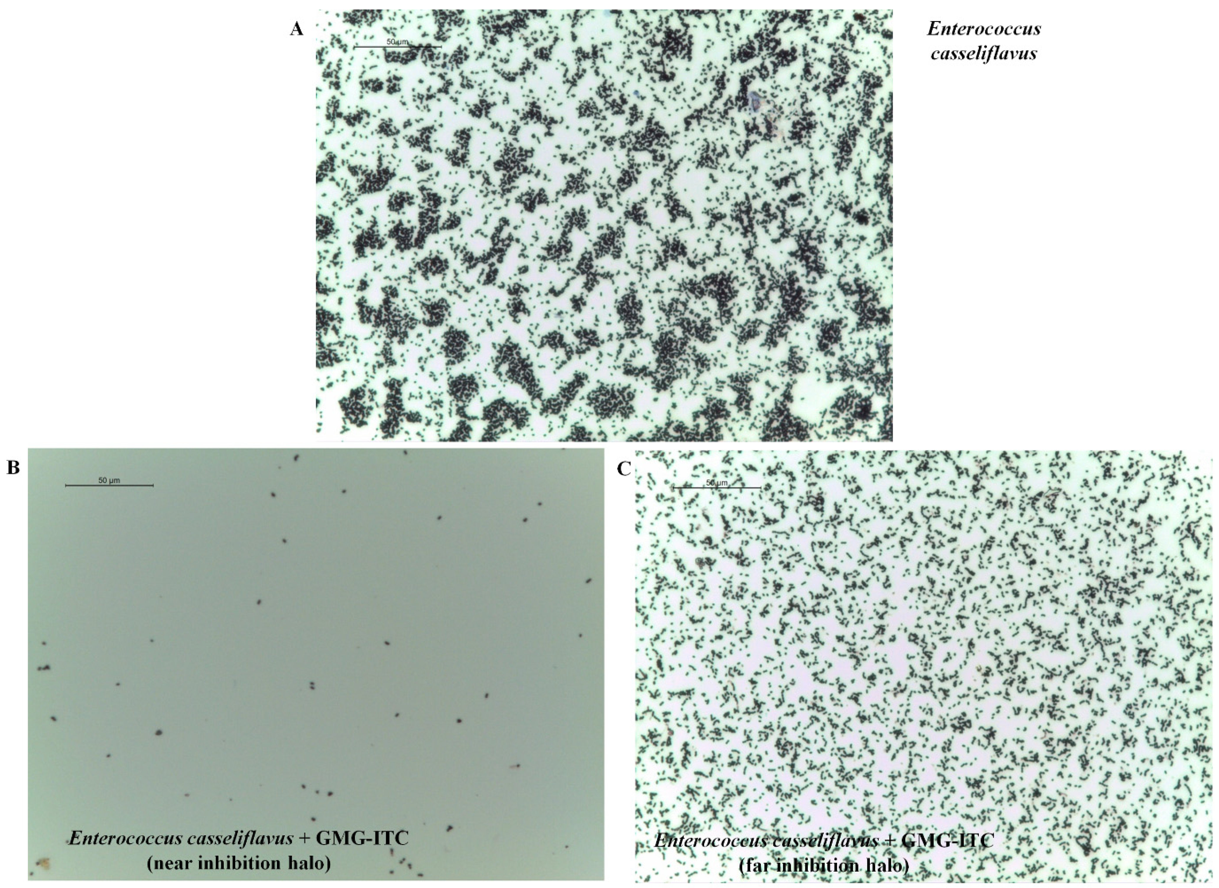 Molecules 18 14340 g002