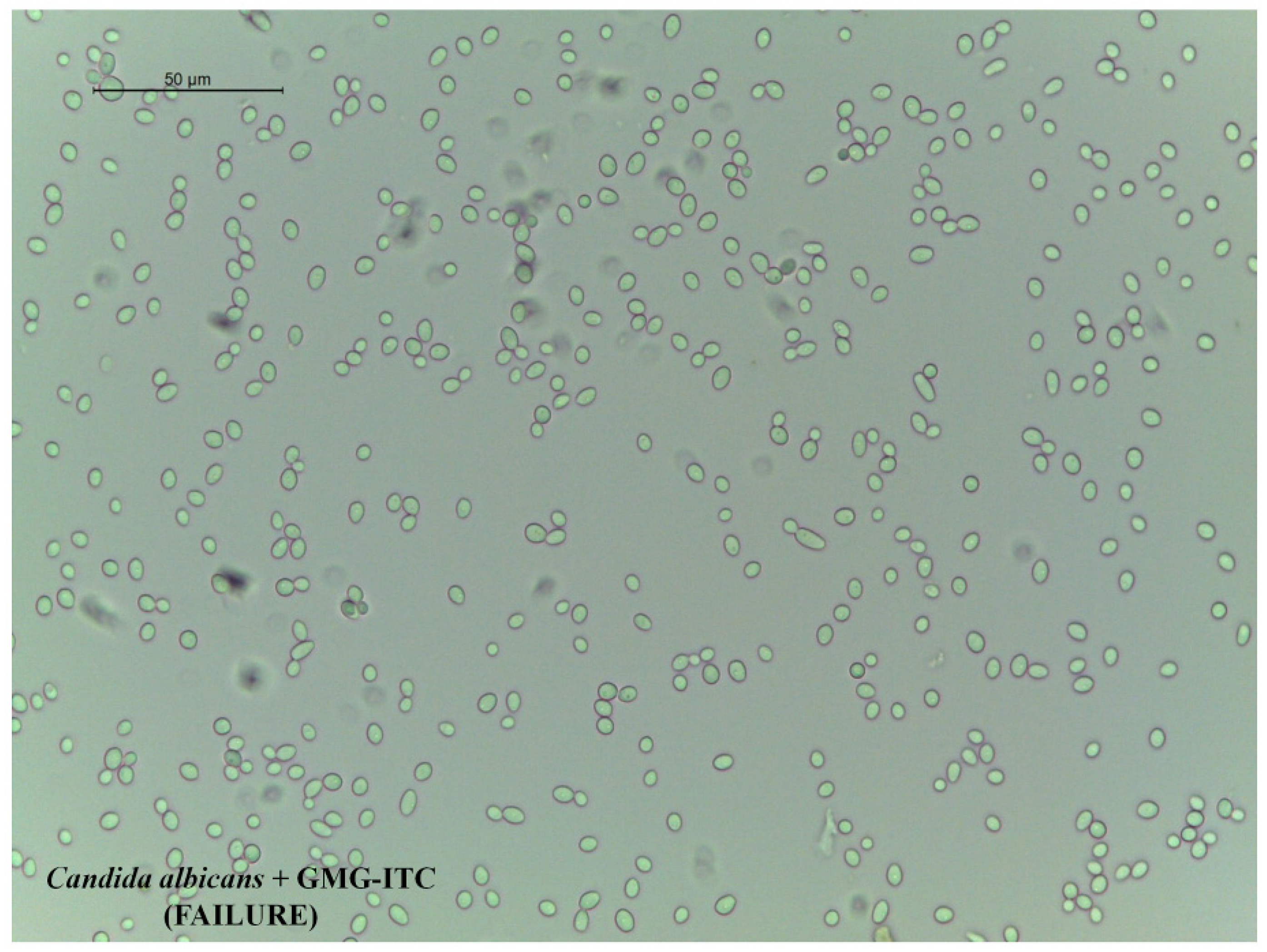 Molecules 18 14340 g003