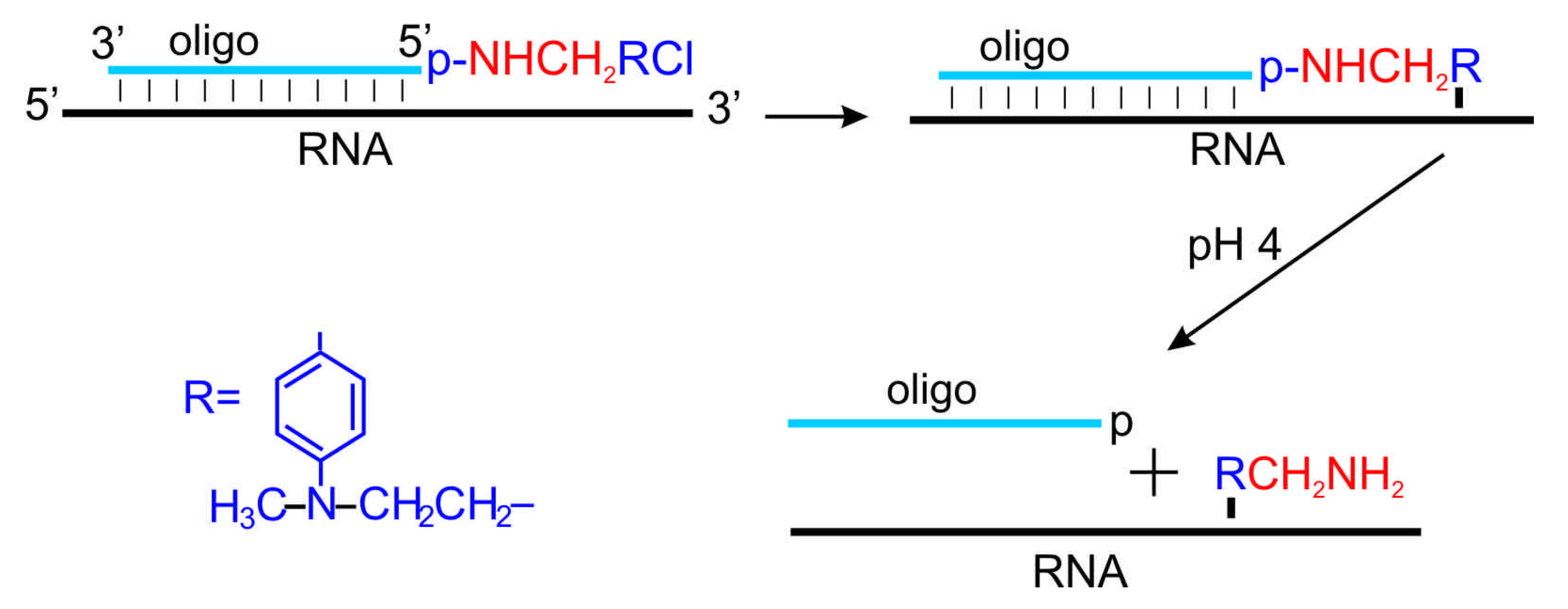 Molecules 18 14455 g006