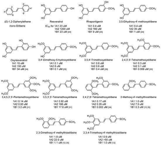 Molecules Free Full Text Cytochrome P450 Family 1 Inhibitors And Structure Activity Relationships Html Molecules Free Full Text Cytochrome P450 Family 1 Inhibitors And Structure Activity Relationships Html