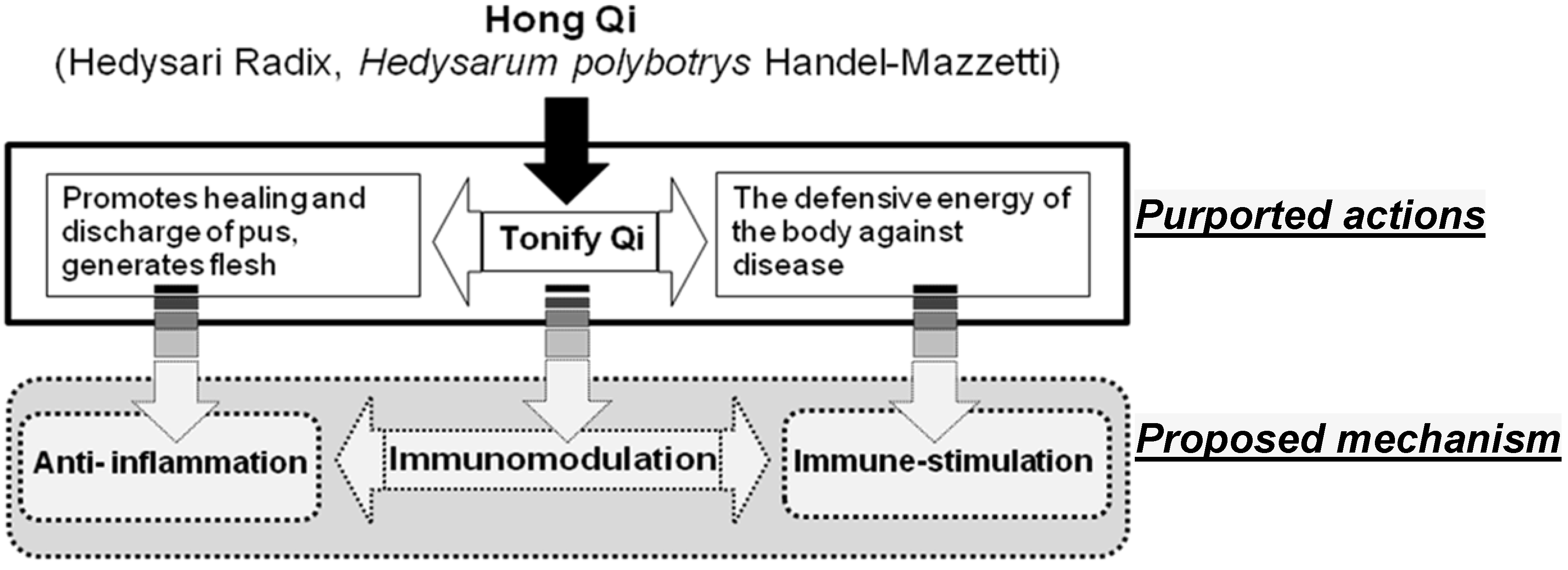 Molecules 18 14862 g001