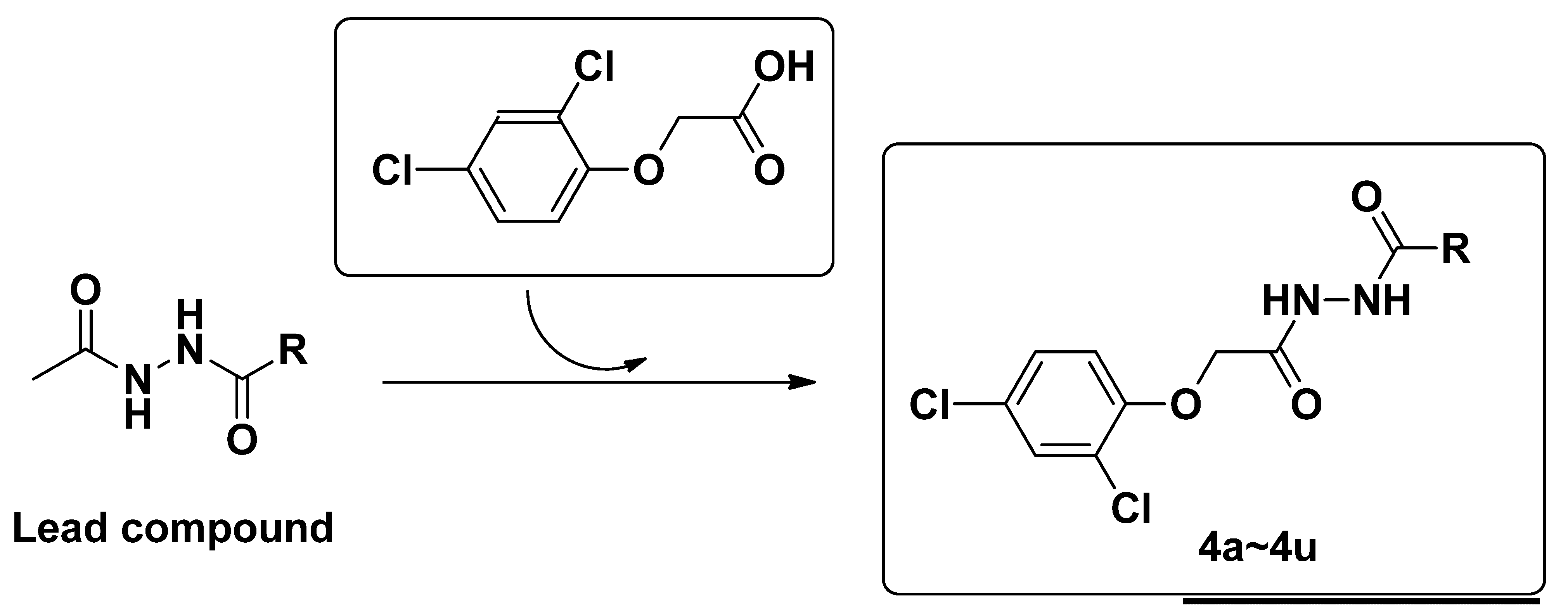 Molecules 18 14876 g002