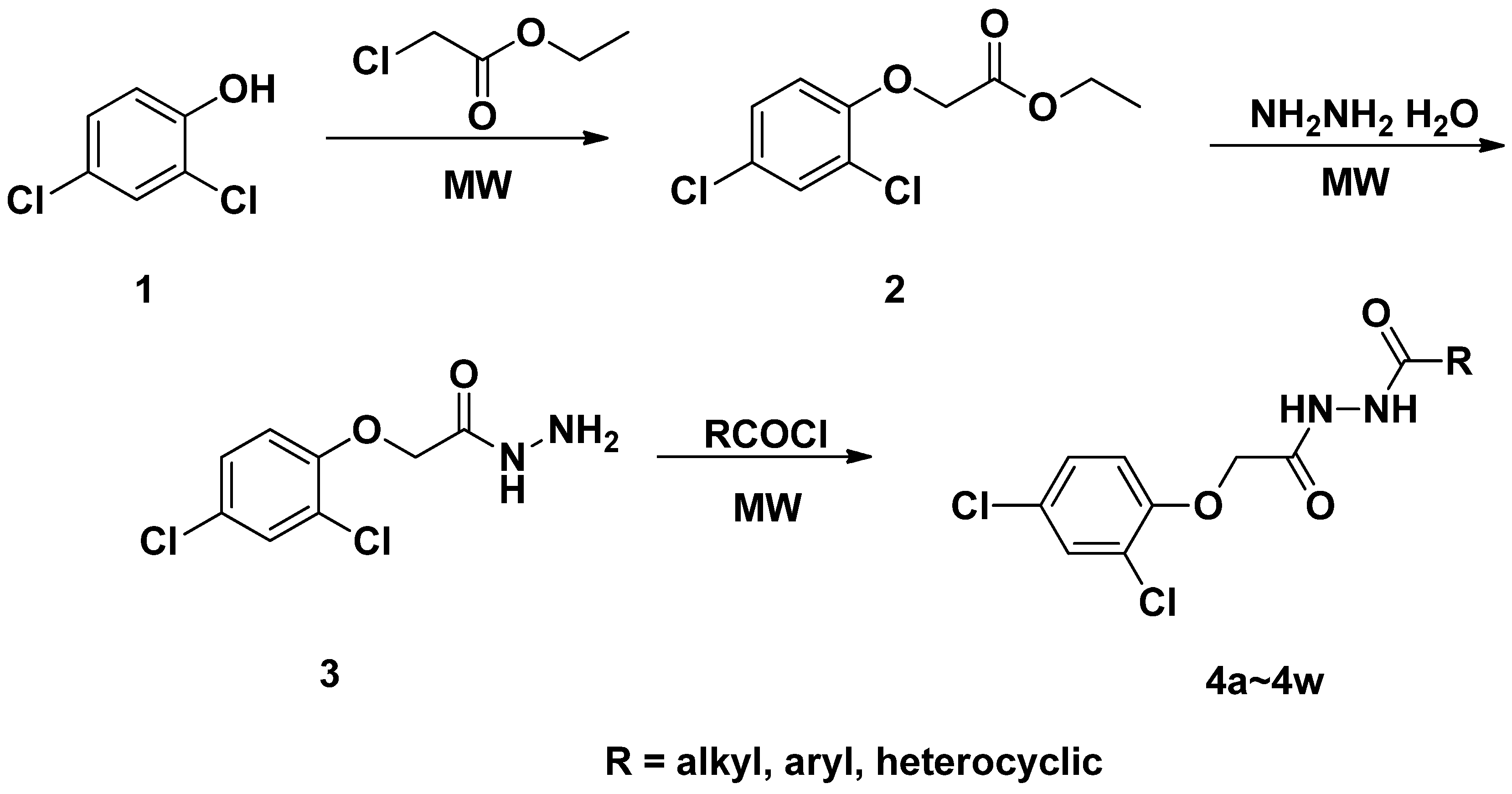 Molecules 18 14876 g007