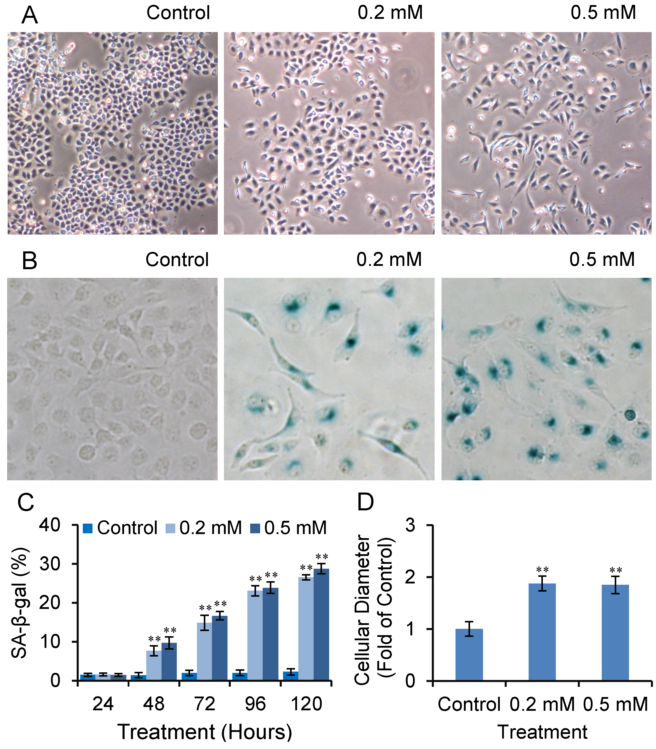 Molecules 18 14935 g002