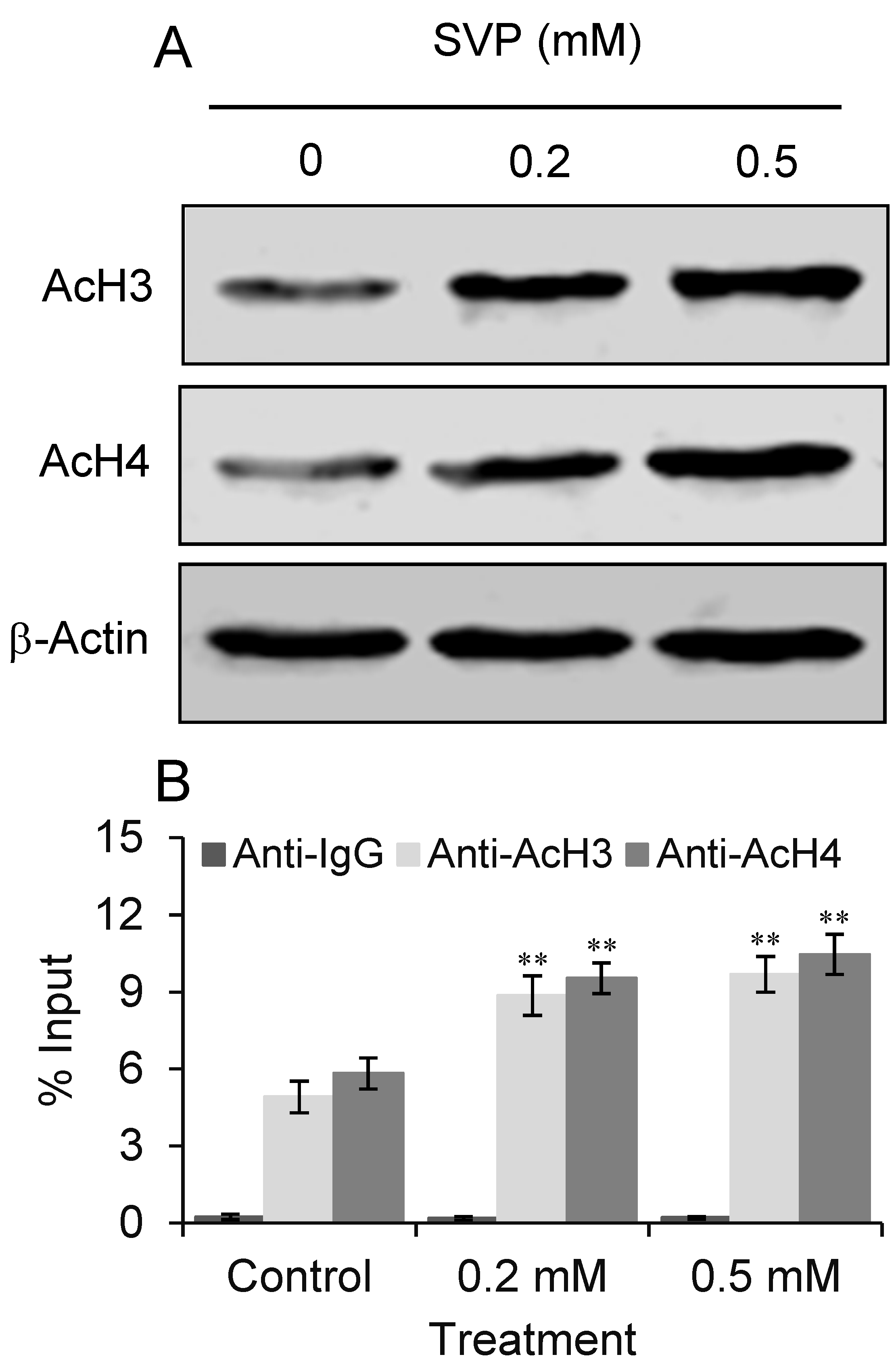 Molecules 18 14935 g005