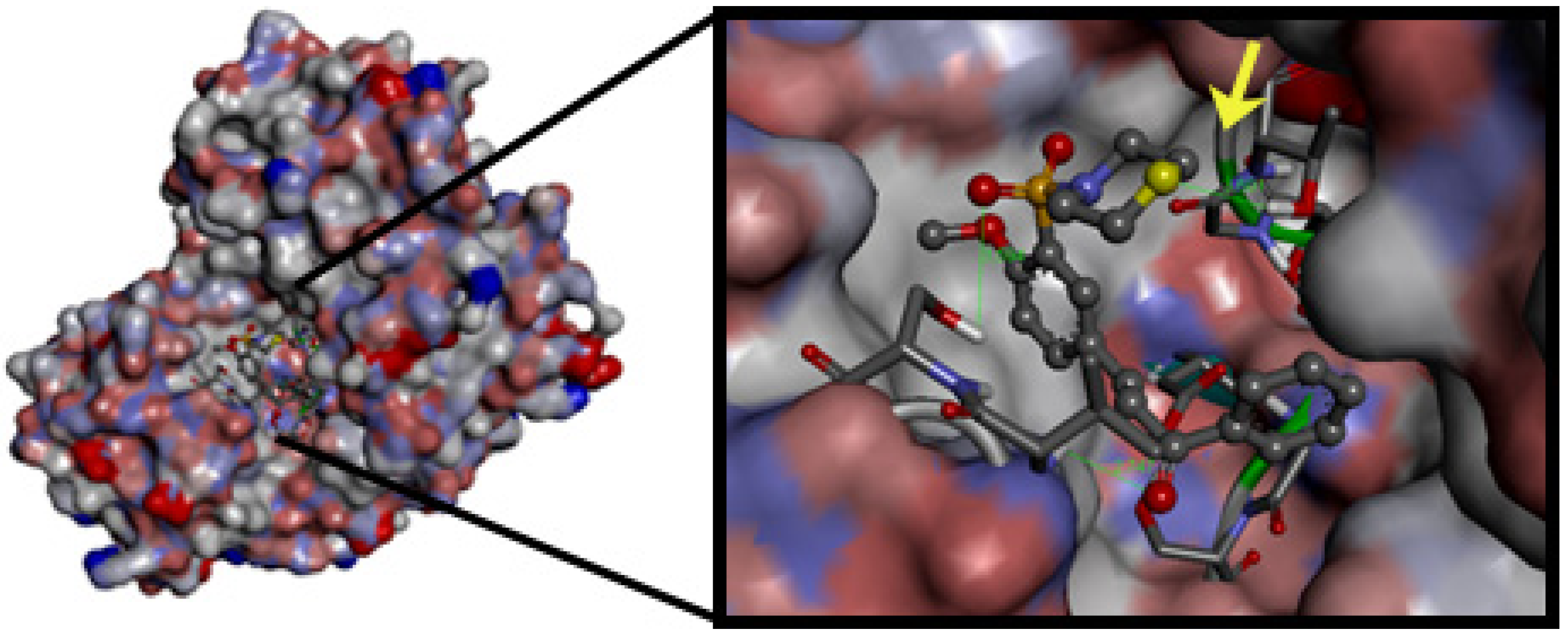 Molecules 18 15276 g004