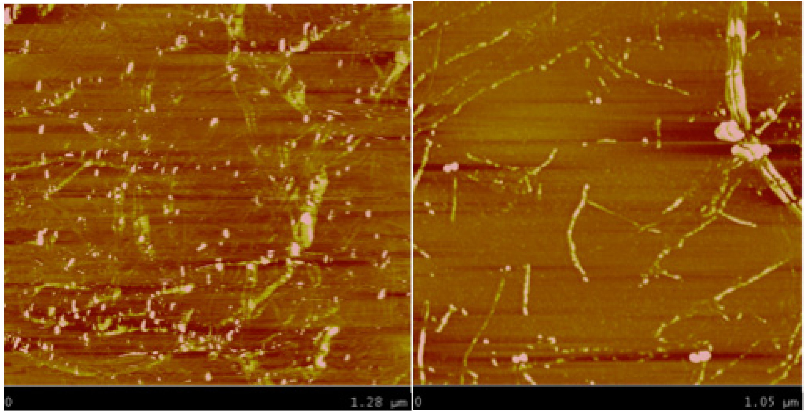 Molecules 18 15434 g004 550