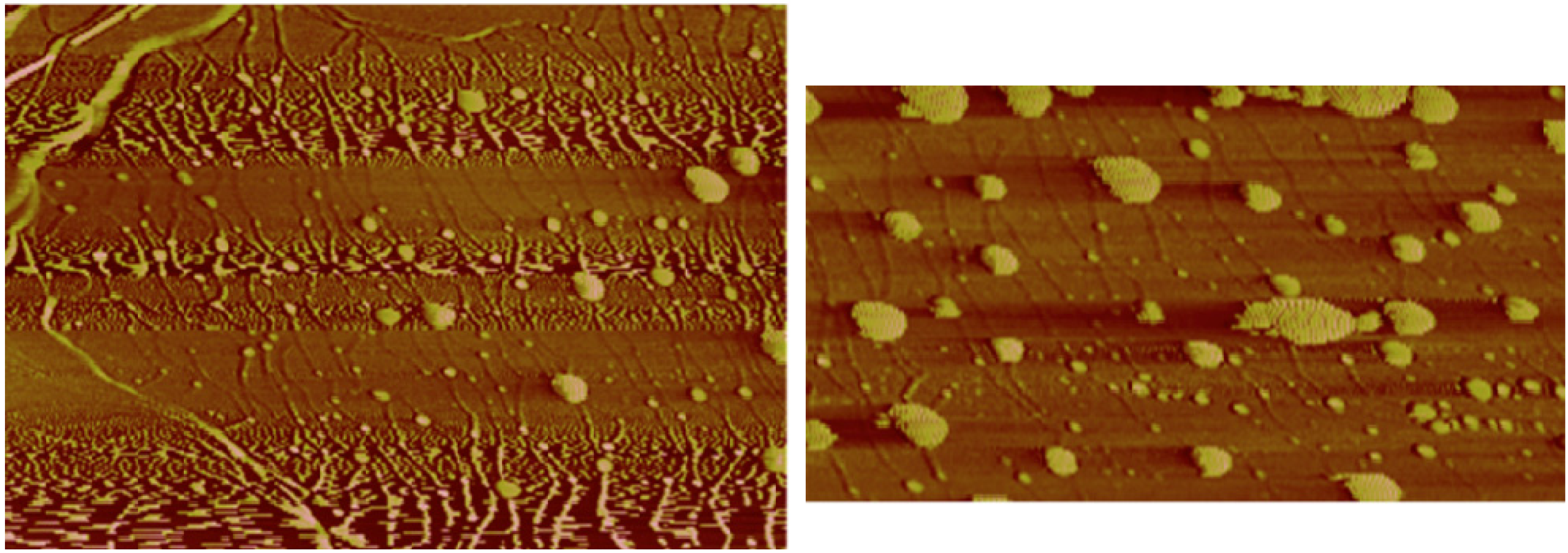 Molecules 18 15434 g006 550