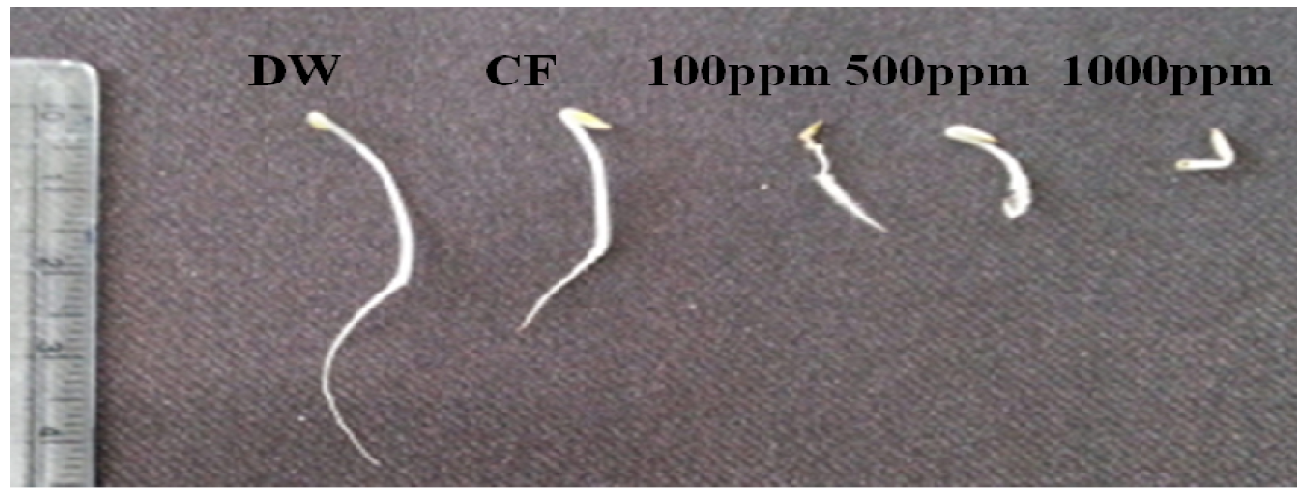 Molecules 18 15519 g002 550