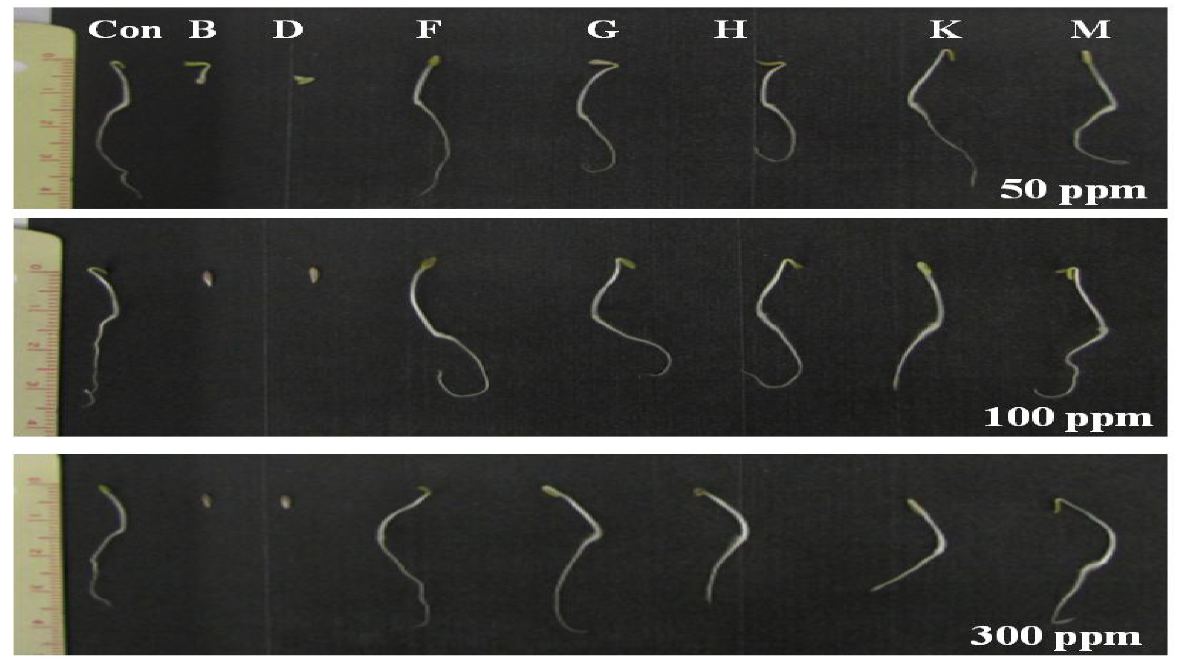 Molecules 18 15519 g004 550