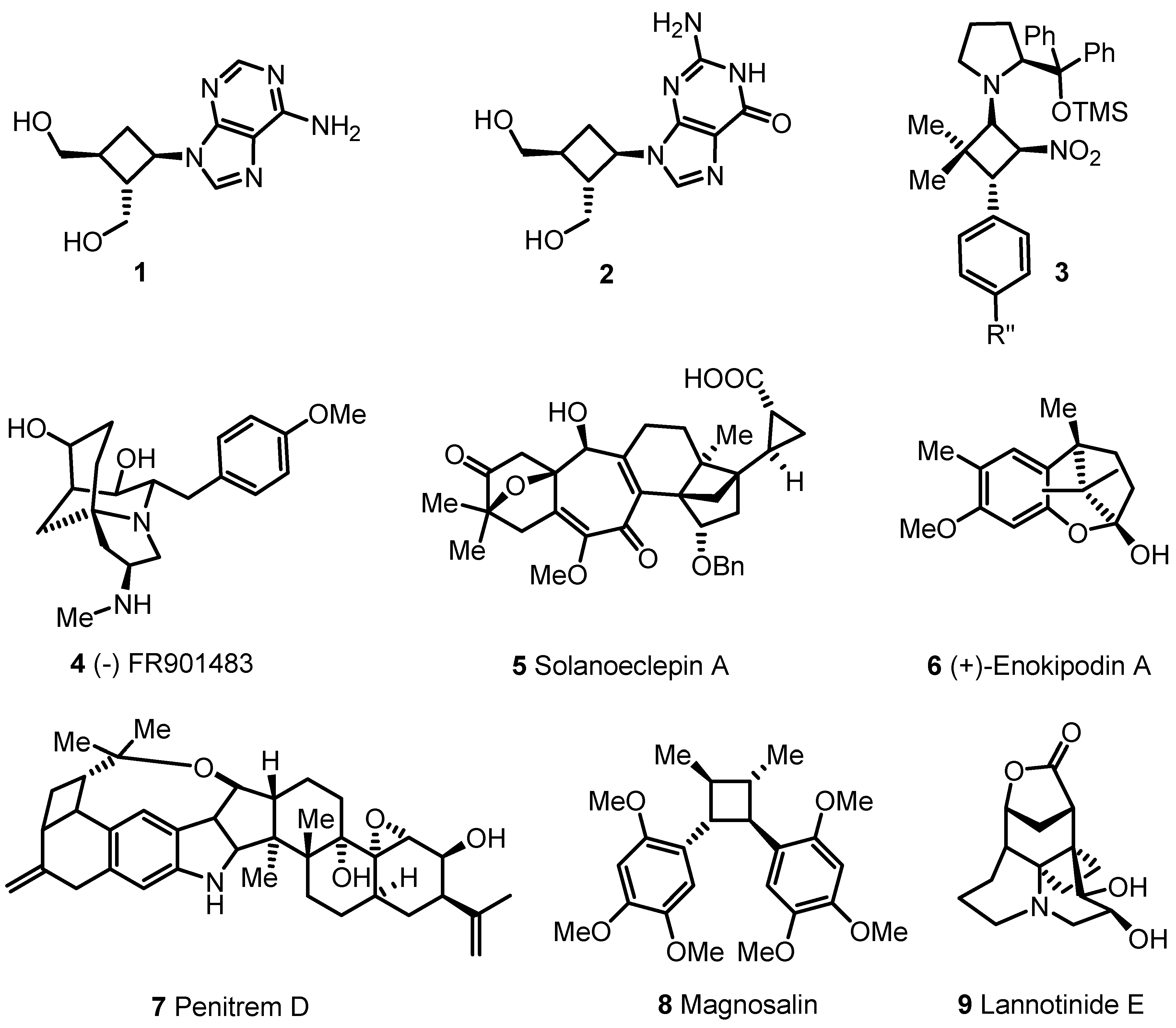 Molecules 18 15541 g001