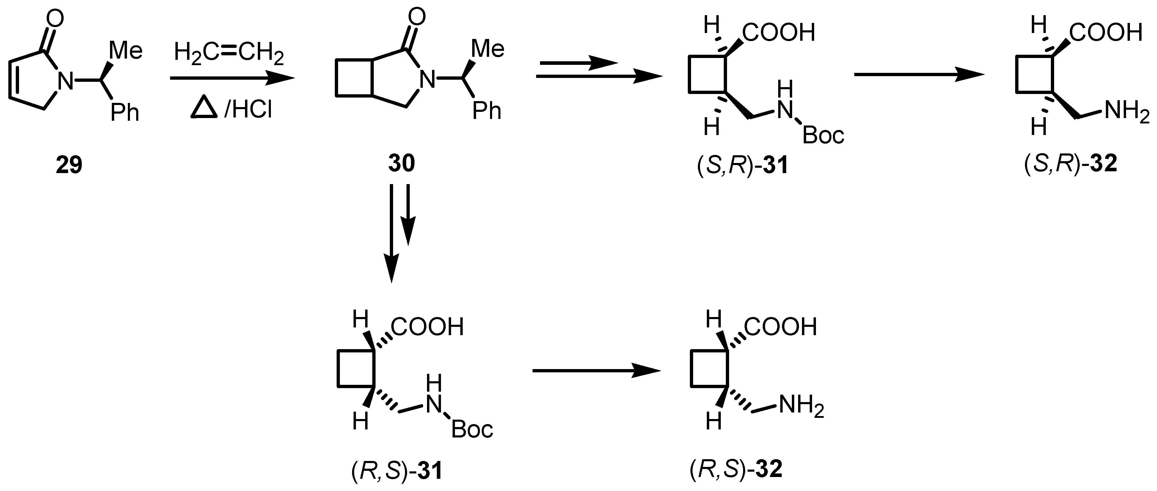 Molecules 18 15541 g009