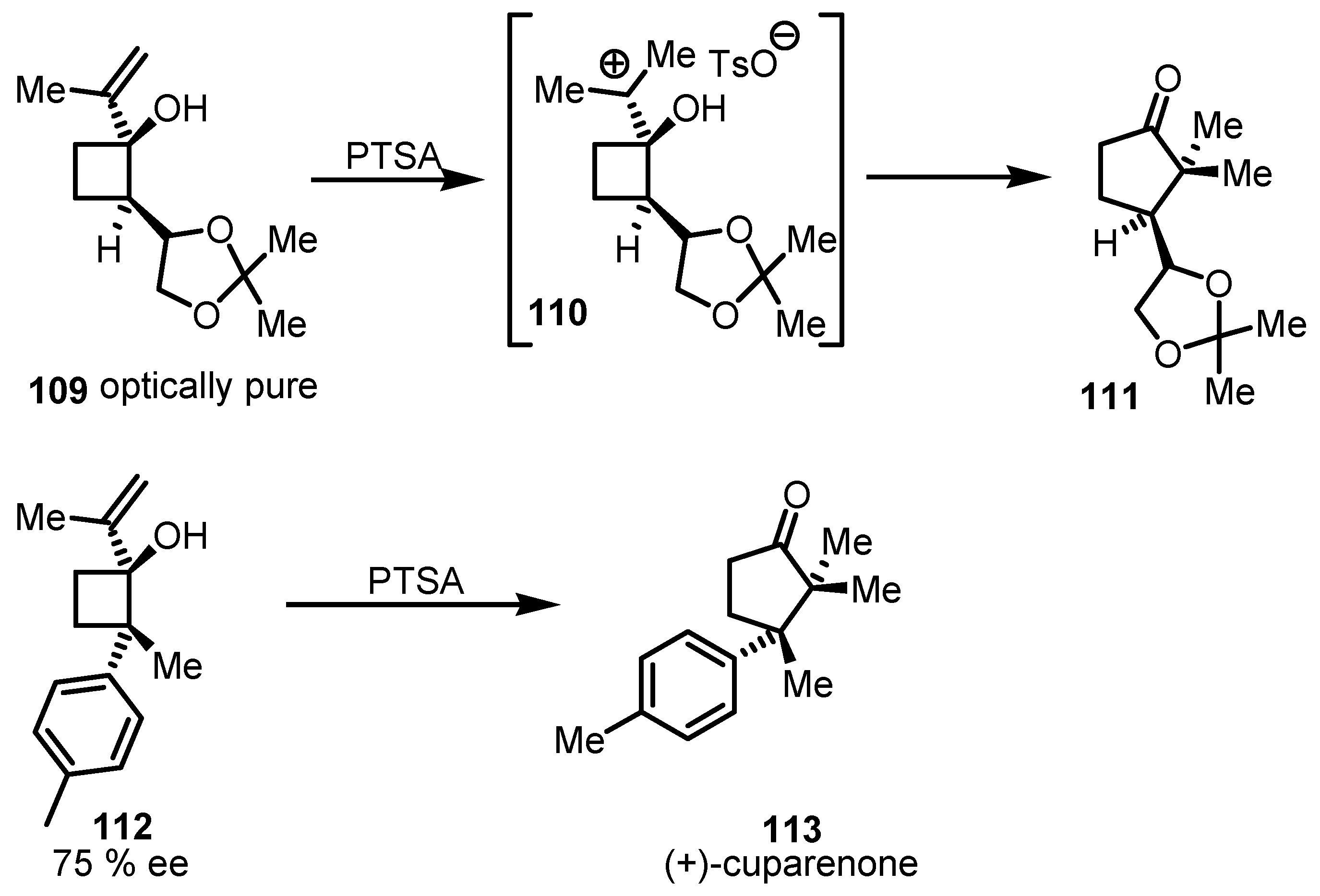 Molecules 18 15541 g034